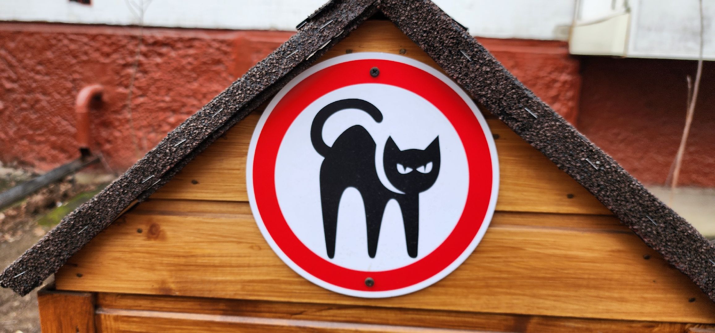 Химки, благоустройство, забота о животных,