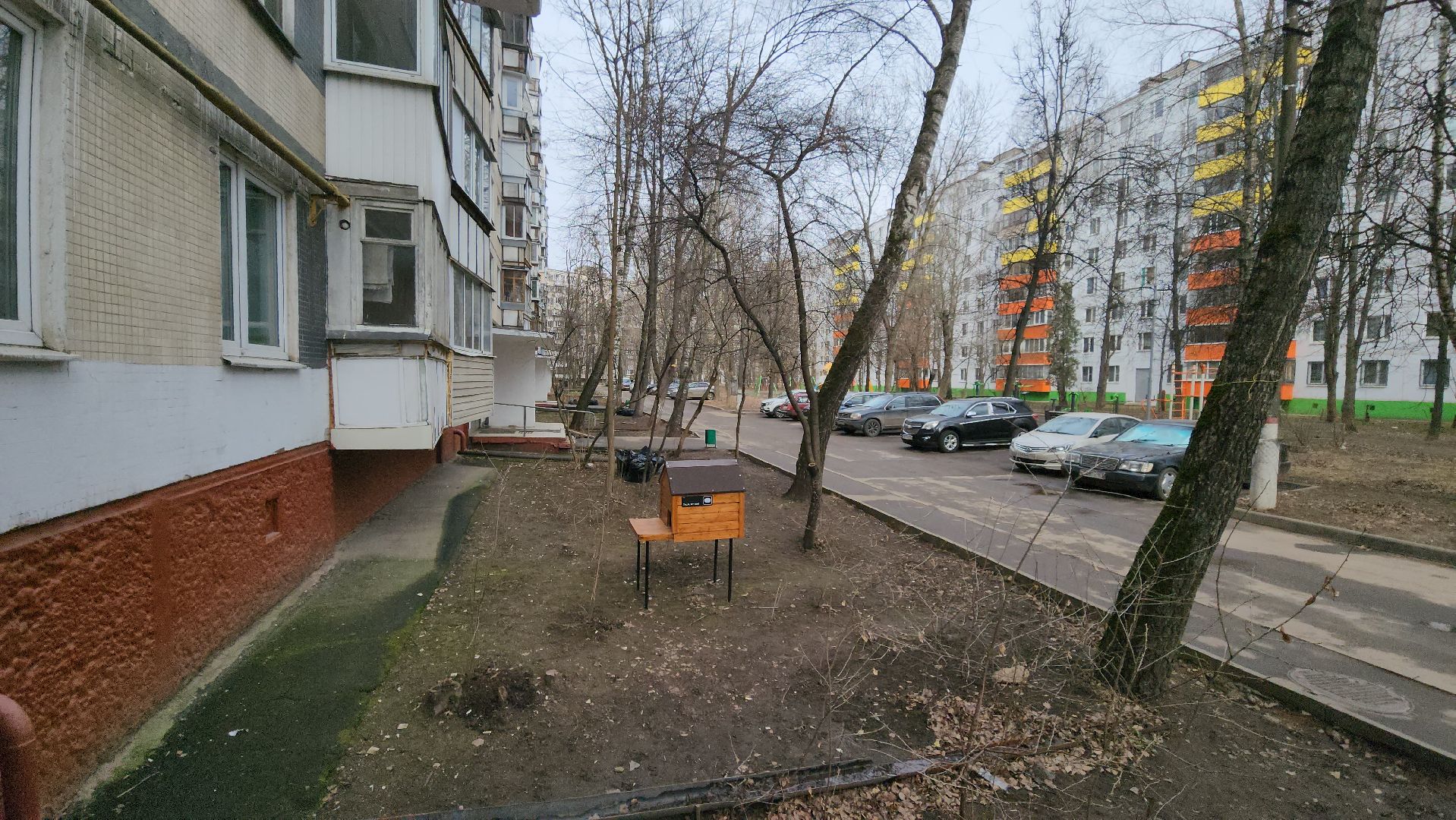 Химки, благоустройство, забота о животных,