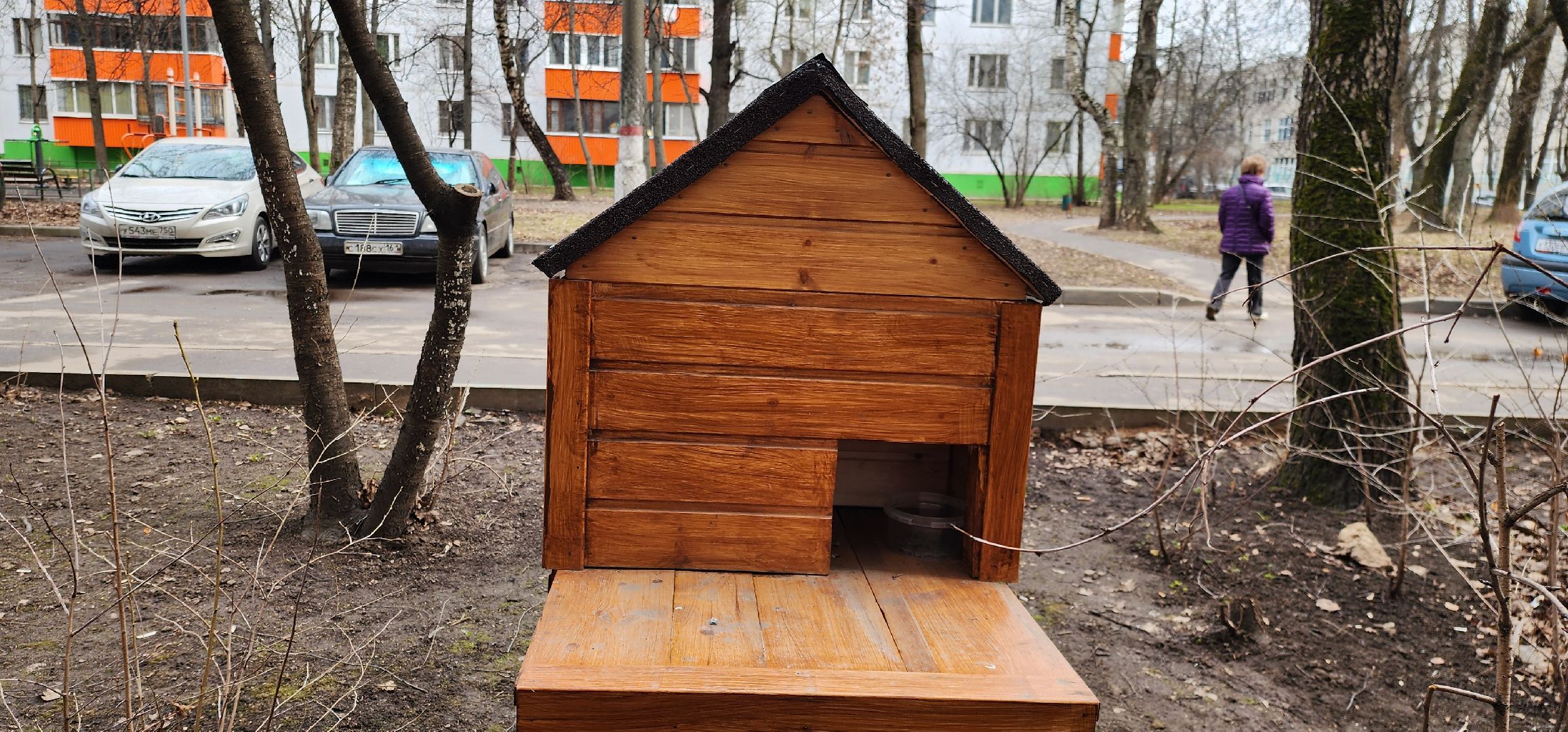 Химки, благоустройство, забота о животных,