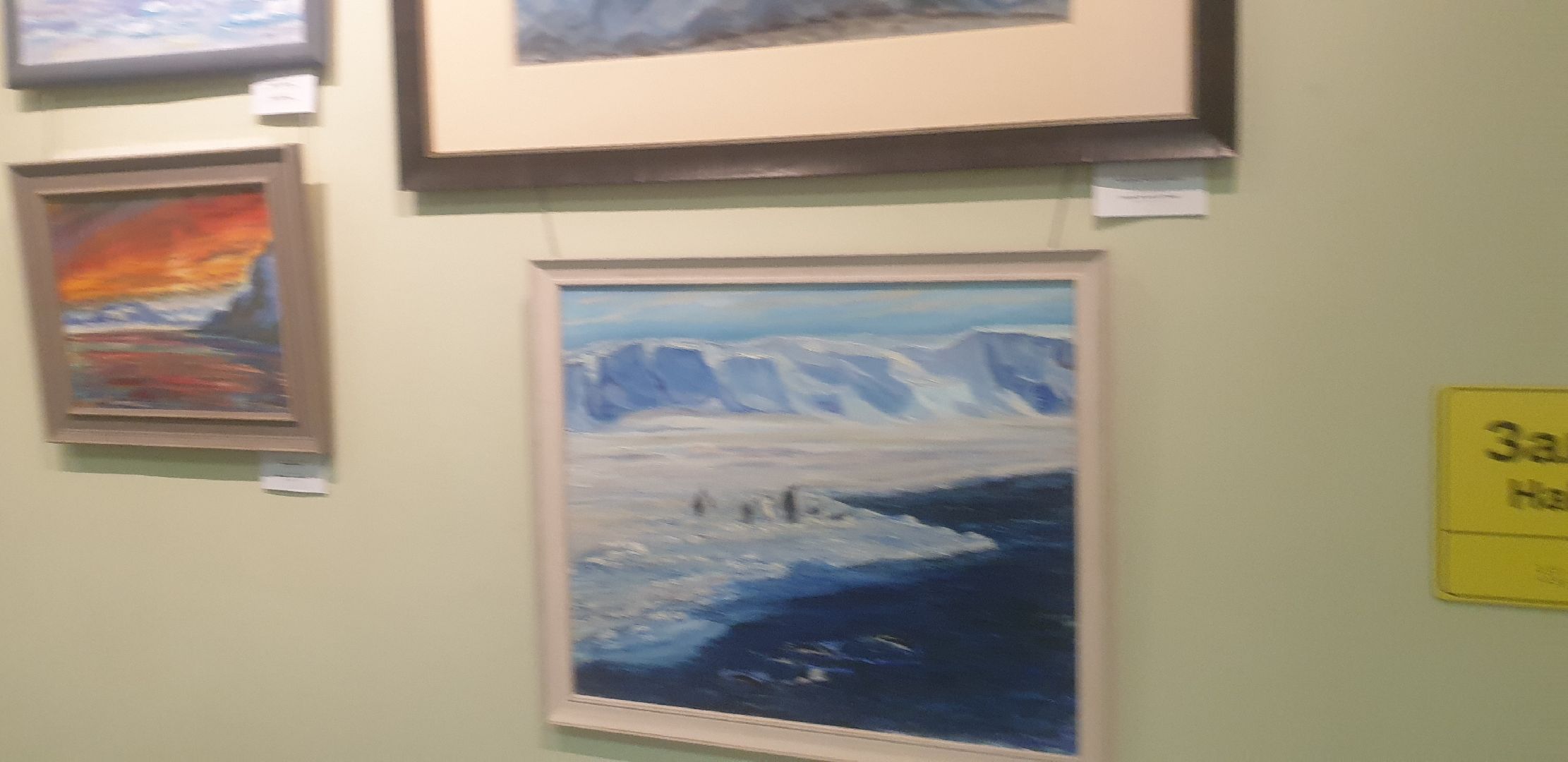 Долгопрудный, Арктика, живопись, картины