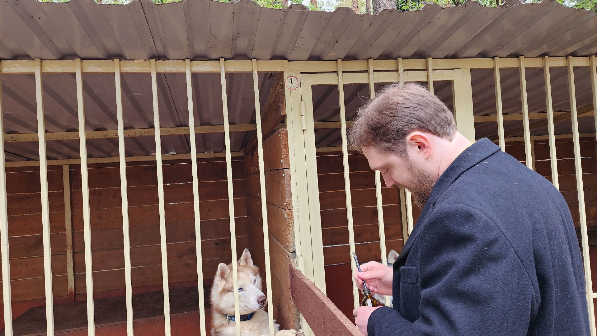 эко ферма, зоопарк, животные, православие, культура, святая вода, обряд, освящение, домодедово, подмосковье ,