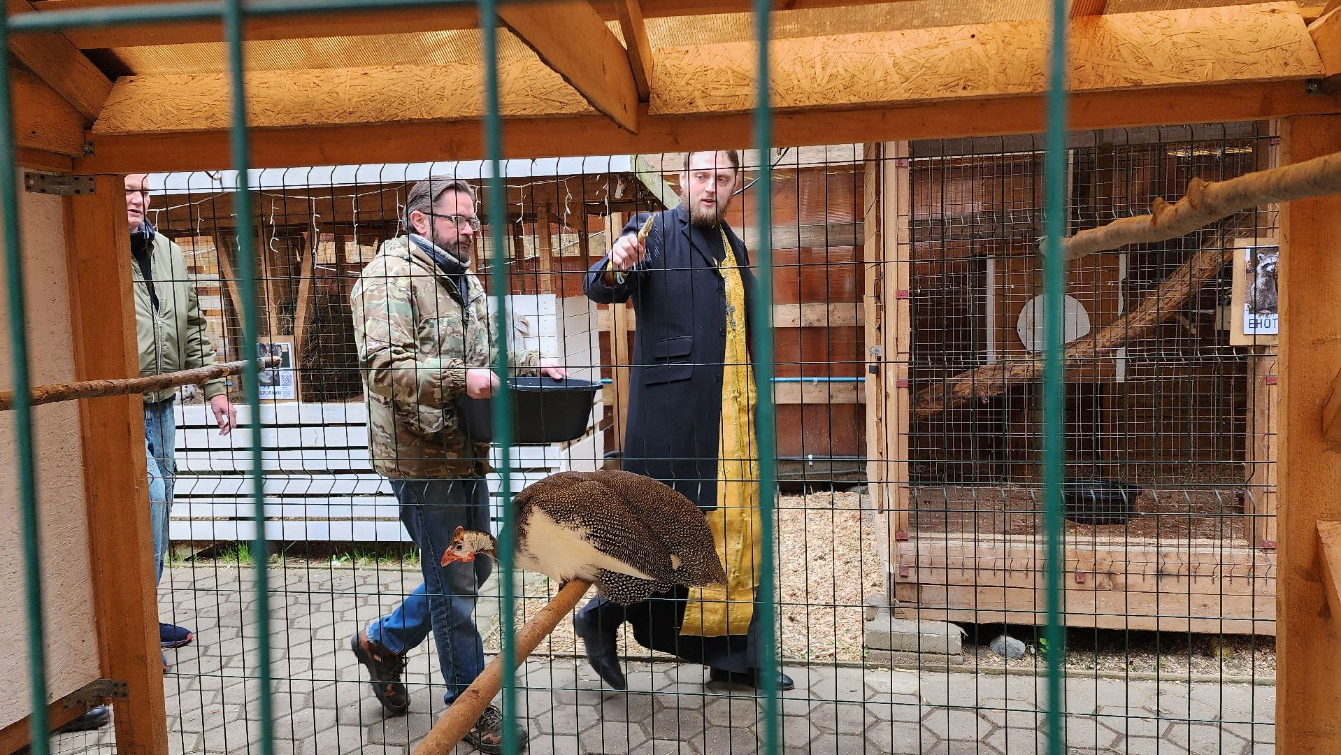 эко ферма, зоопарк, животные, православие, культура, святая вода, обряд, освящение, домодедово, подмосковье ,