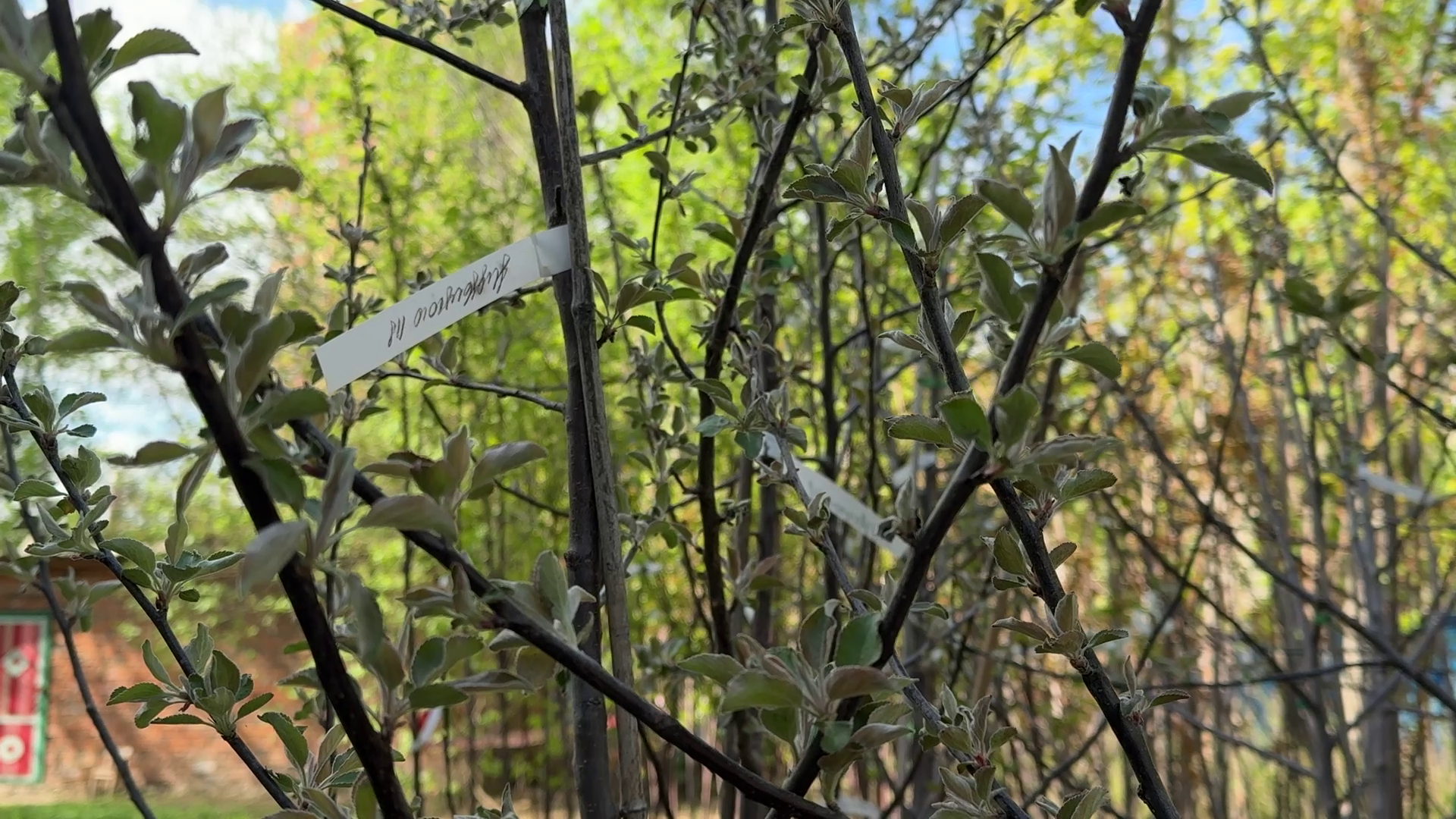реутов, советская, реконструкция теплосети, благоустройство,