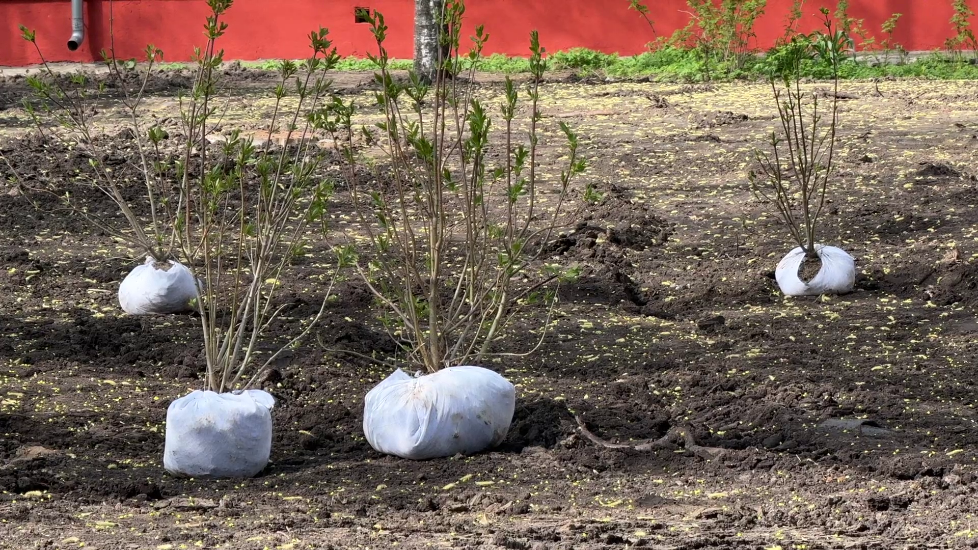 реутов, советская, реконструкция теплосети, благоустройство,