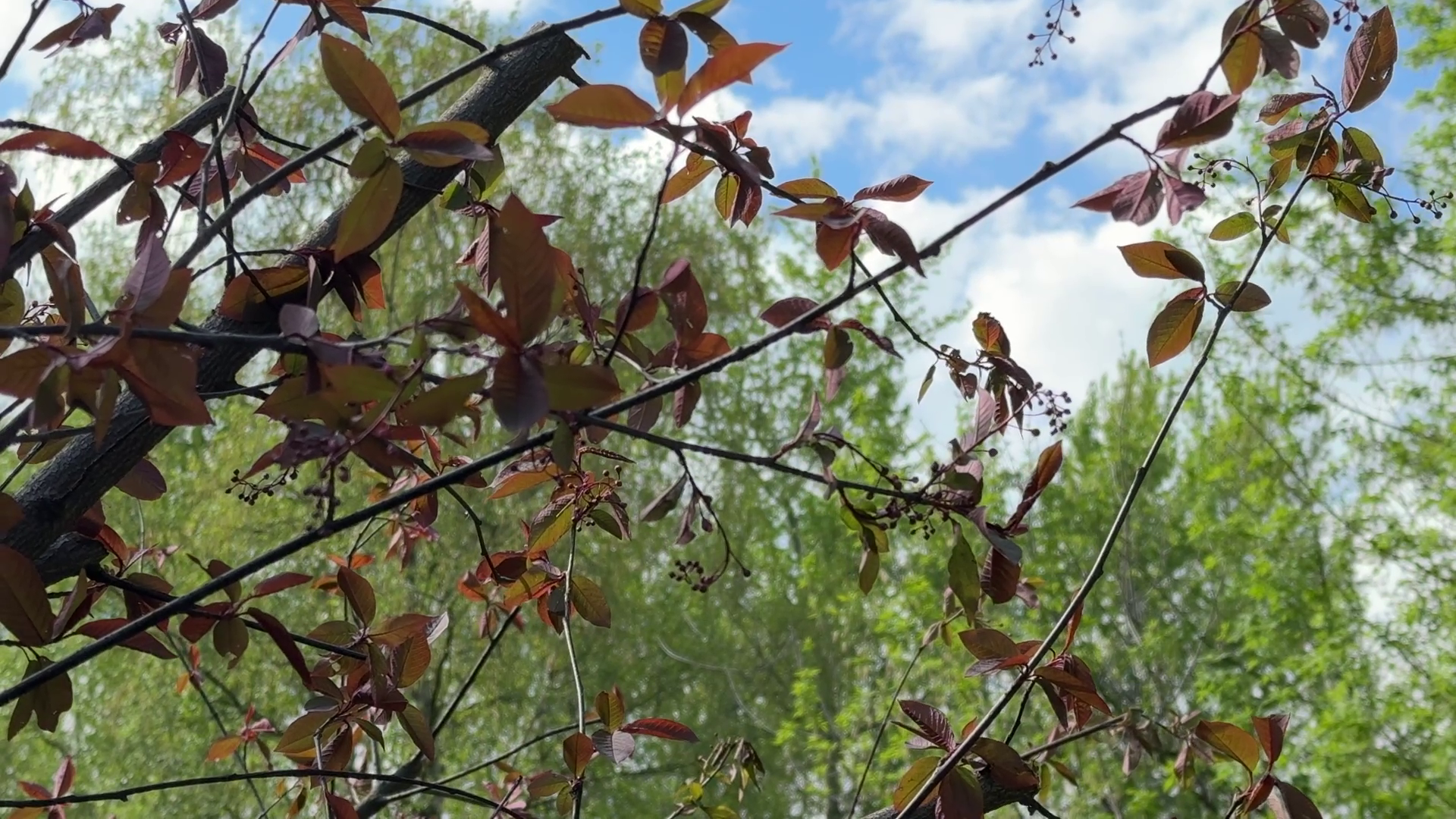 реутов, советская, реконструкция теплосети, благоустройство,