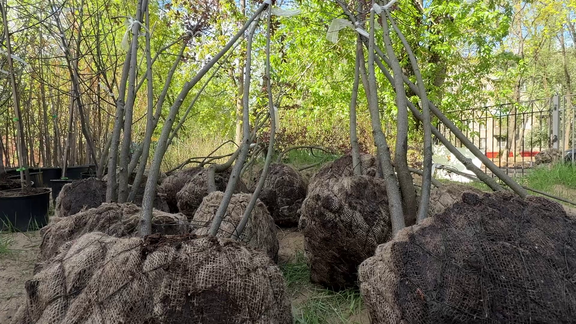 реутов, советская, реконструкция теплосети, благоустройство,