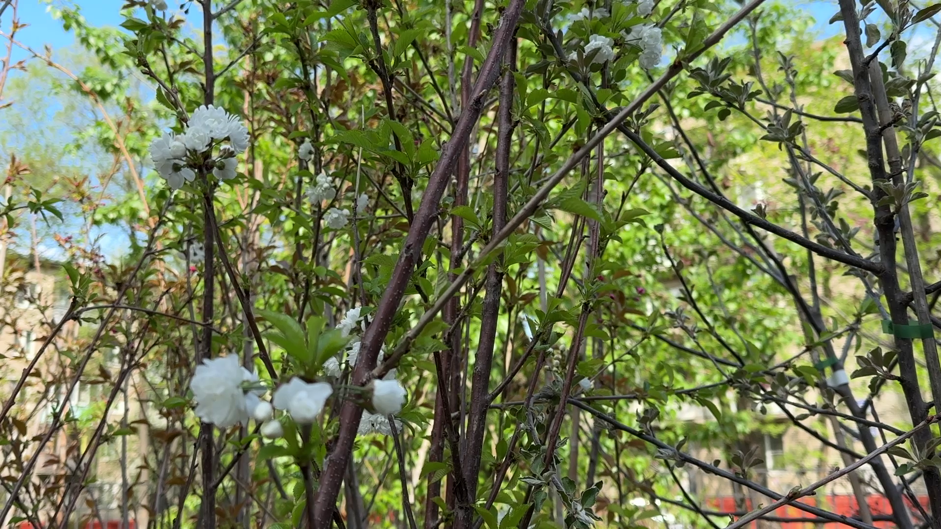 реутов, советская, реконструкция теплосети, благоустройство,