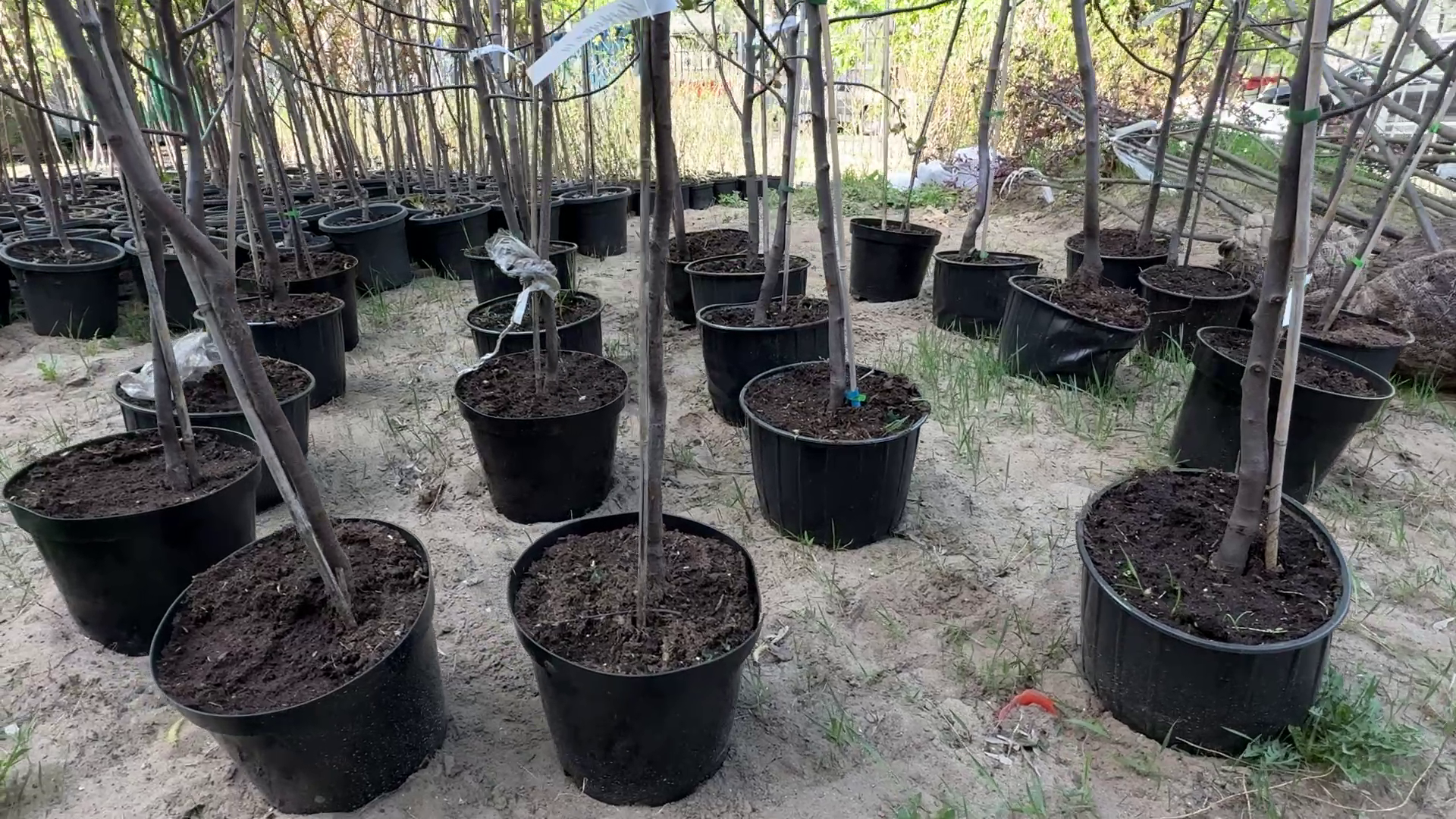 реутов, советская, реконструкция теплосети, благоустройство,