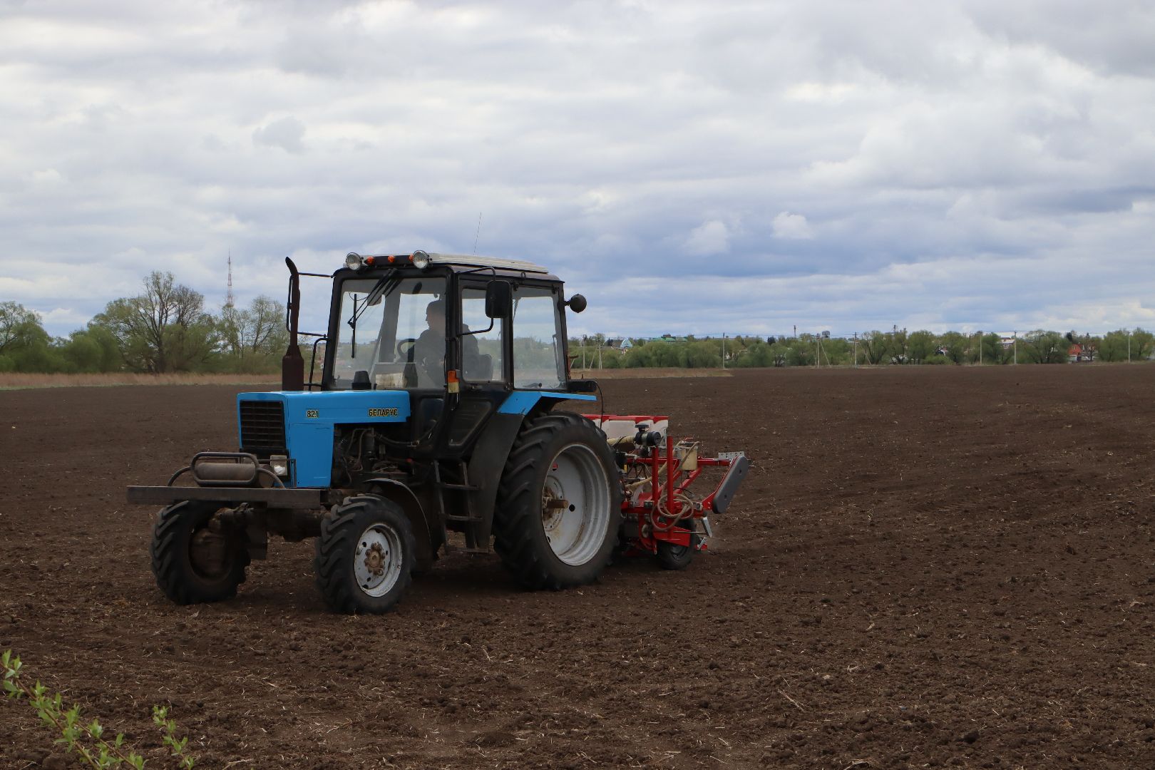 сельское хозяйство,  серебряные пруды, овощеводство,