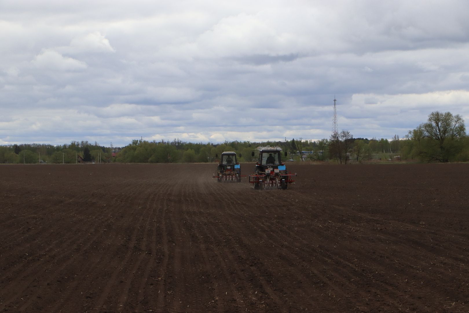 сельское хозяйство,  серебряные пруды, овощеводство,