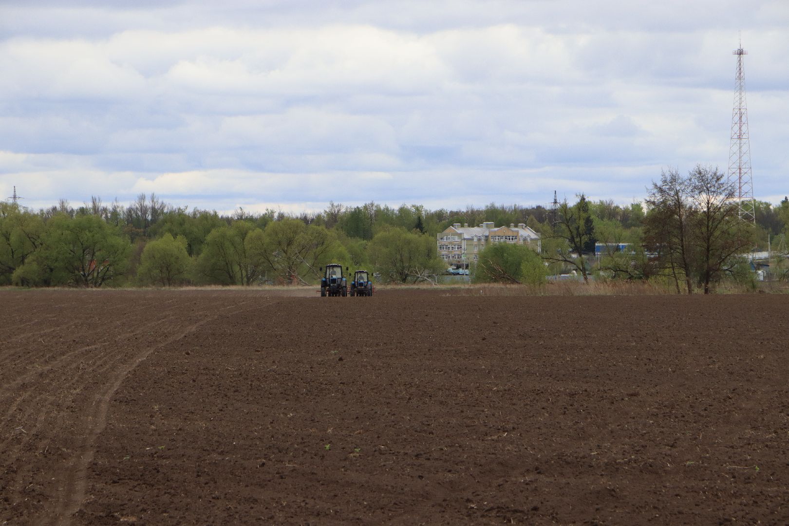 сельское хозяйство,  серебряные пруды, овощеводство,