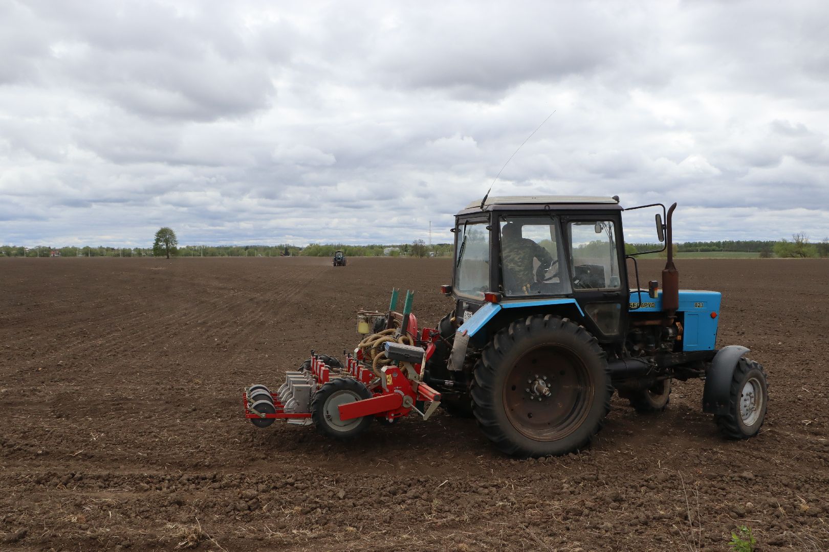 сельское хозяйство,  серебряные пруды, овощеводство,