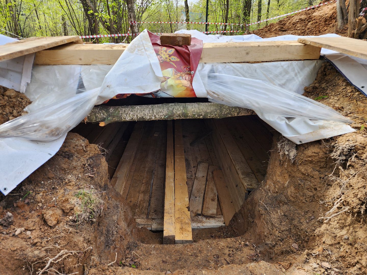 фрязино, день победы, сво, уроки мужества, лесопарк,