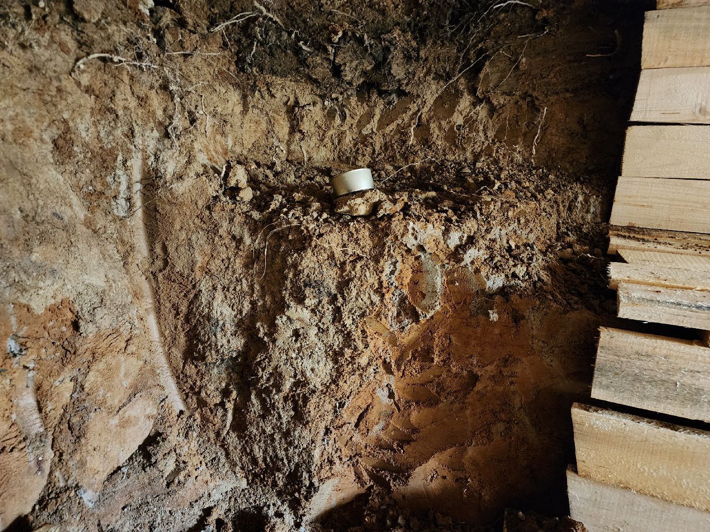 фрязино, день победы, сво, уроки мужества, лесопарк,