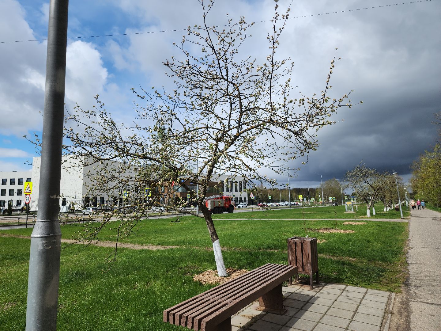 Черноголовка,  Субботник, Яблони,