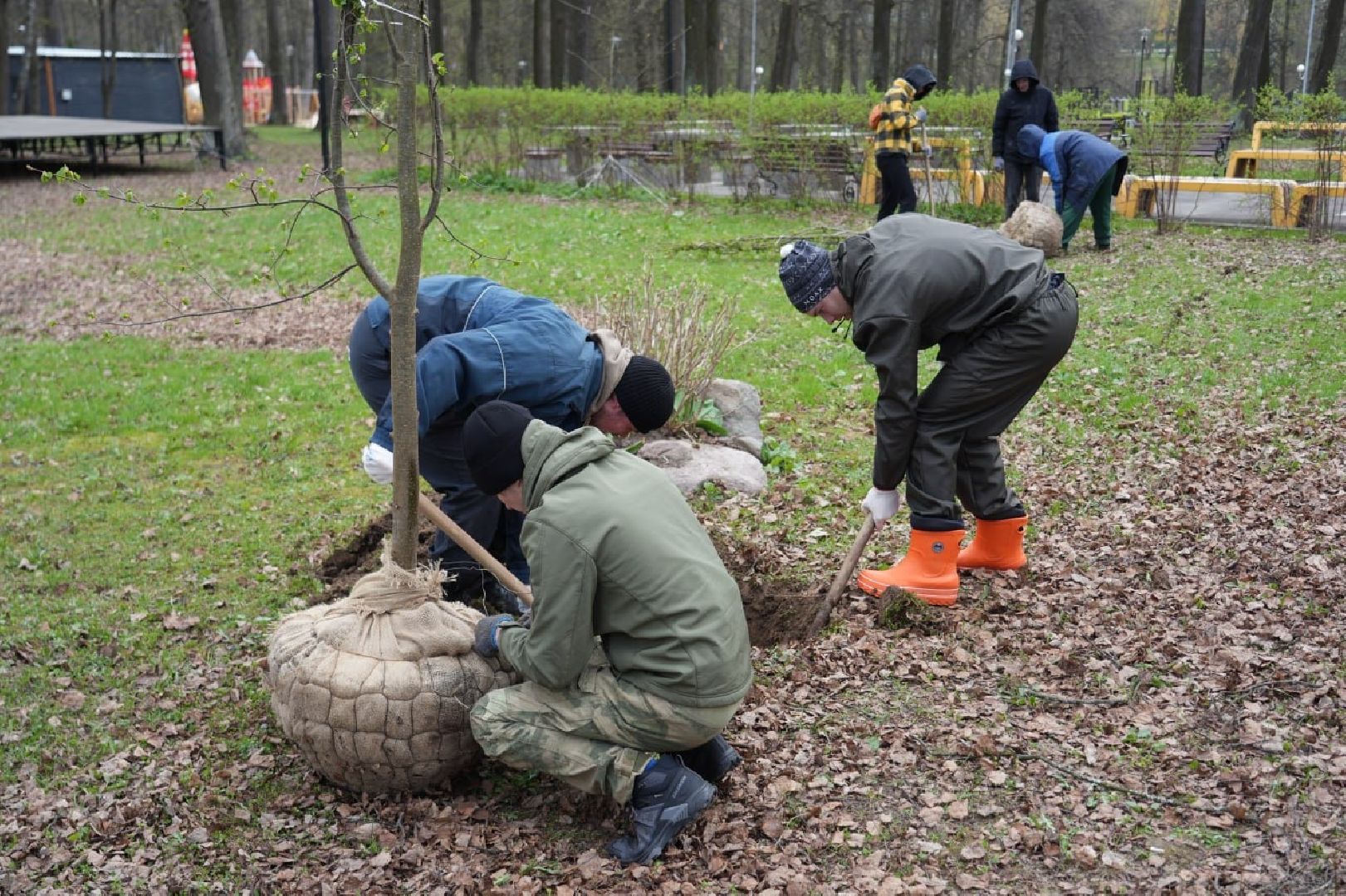 парки подмосковья, парки мо, благоустройство, сергиево-посадский городской округ, сергиев посад, летний сезон,