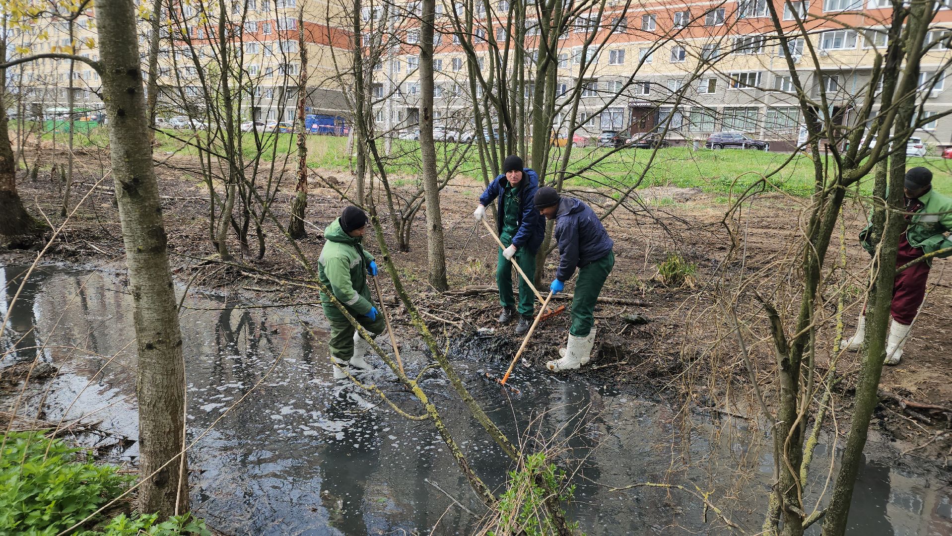 экология, субботник, лосино-петровский,