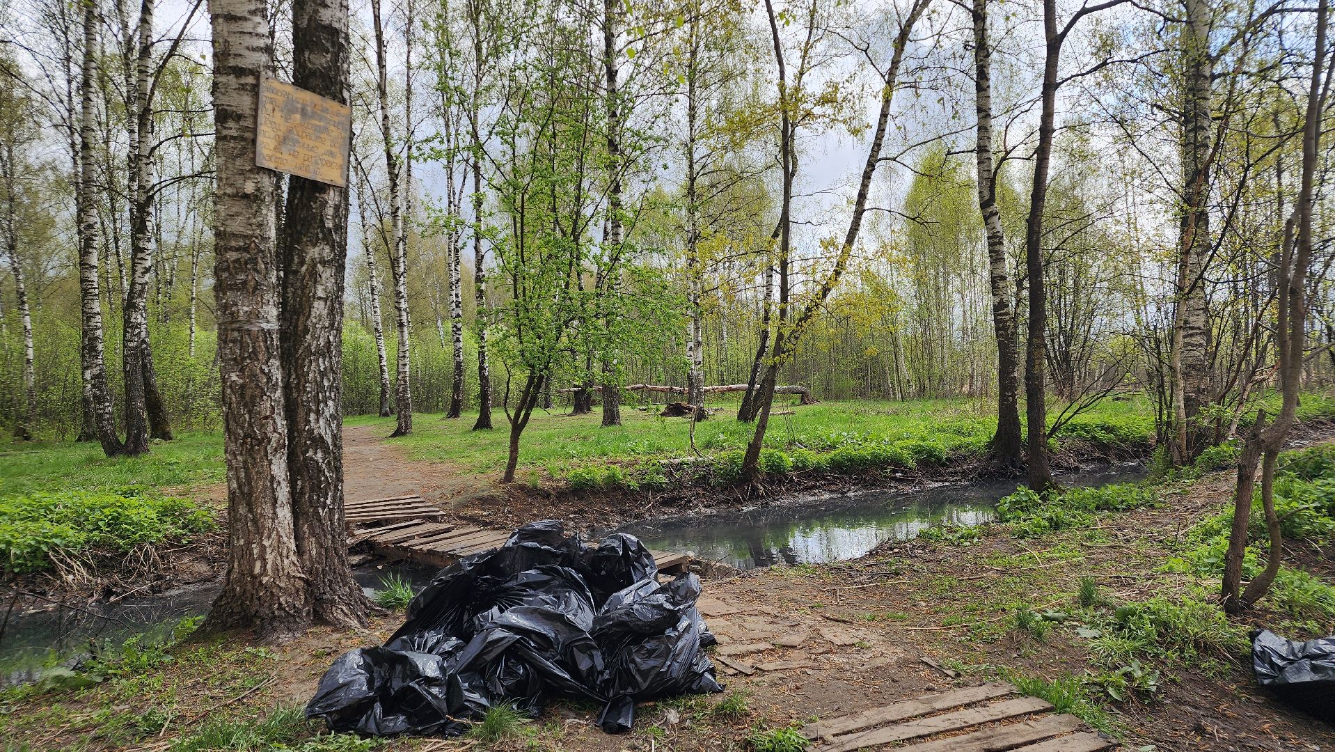 экология, субботник, лосино-петровский,