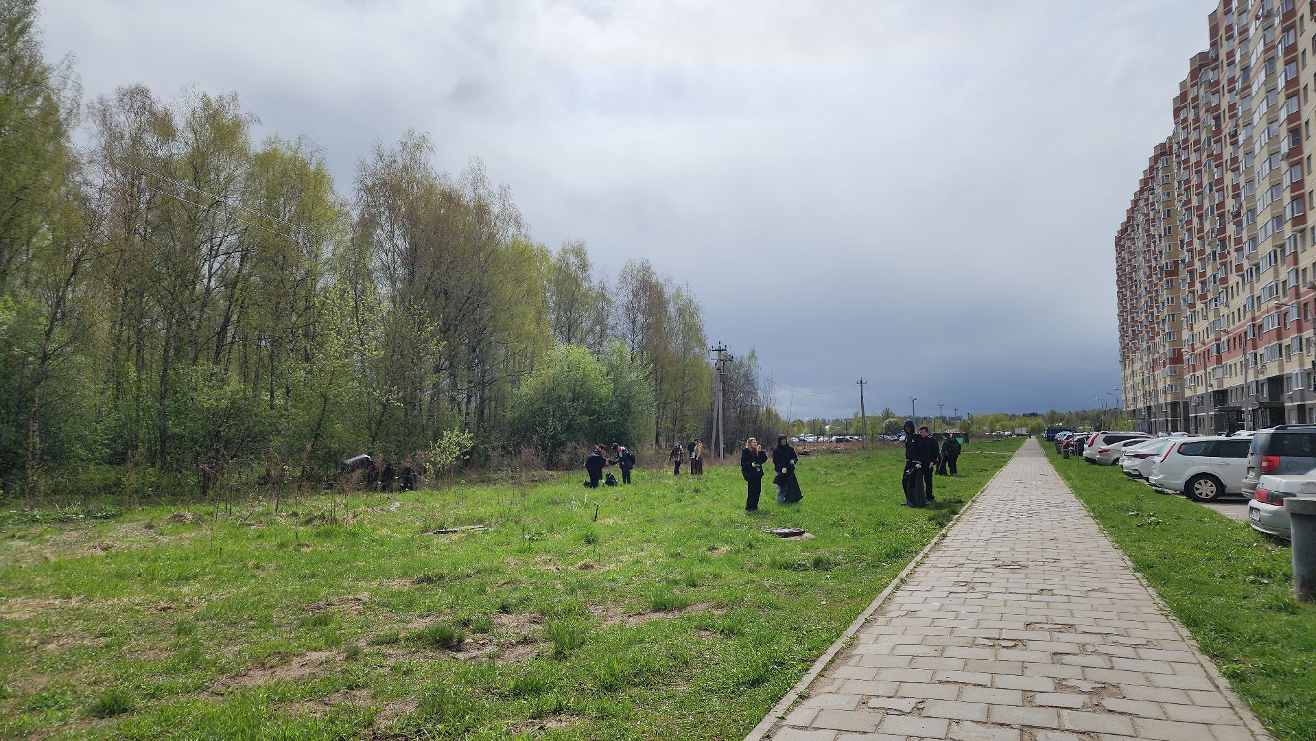 экология, субботник, лосино-петровский,