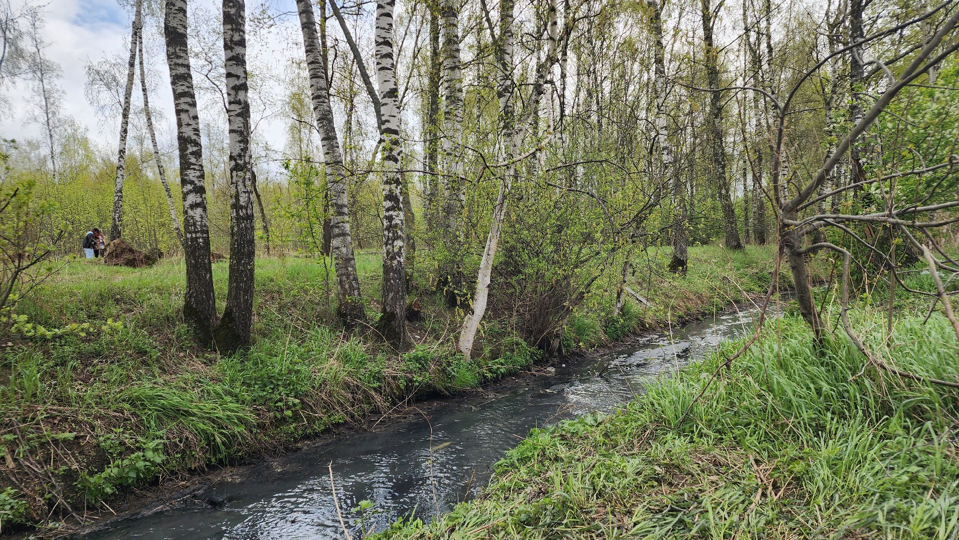 экология, субботник, лосино-петровский,