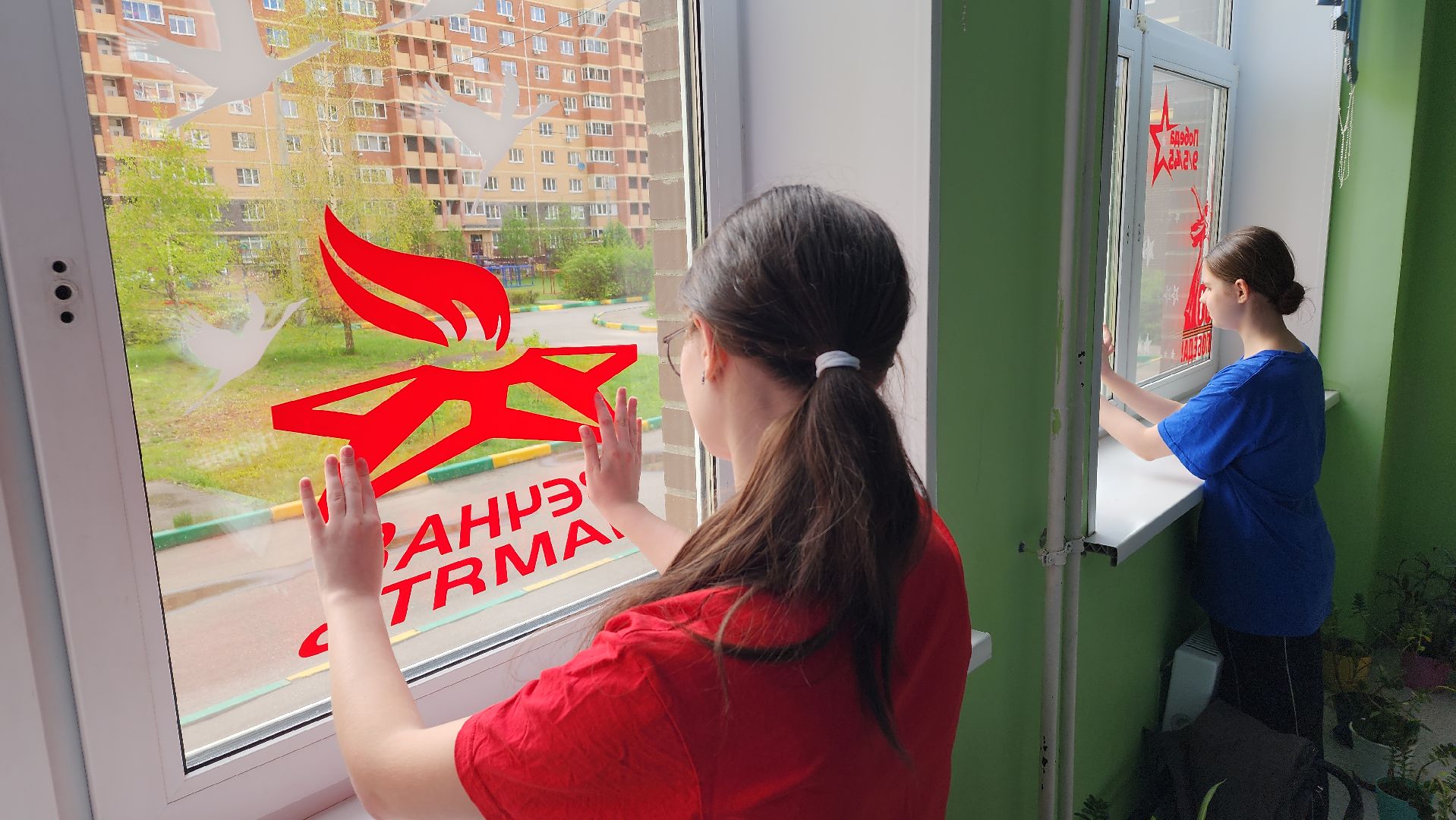 школа, окна Победы, Движение первых, лосино-петровский,