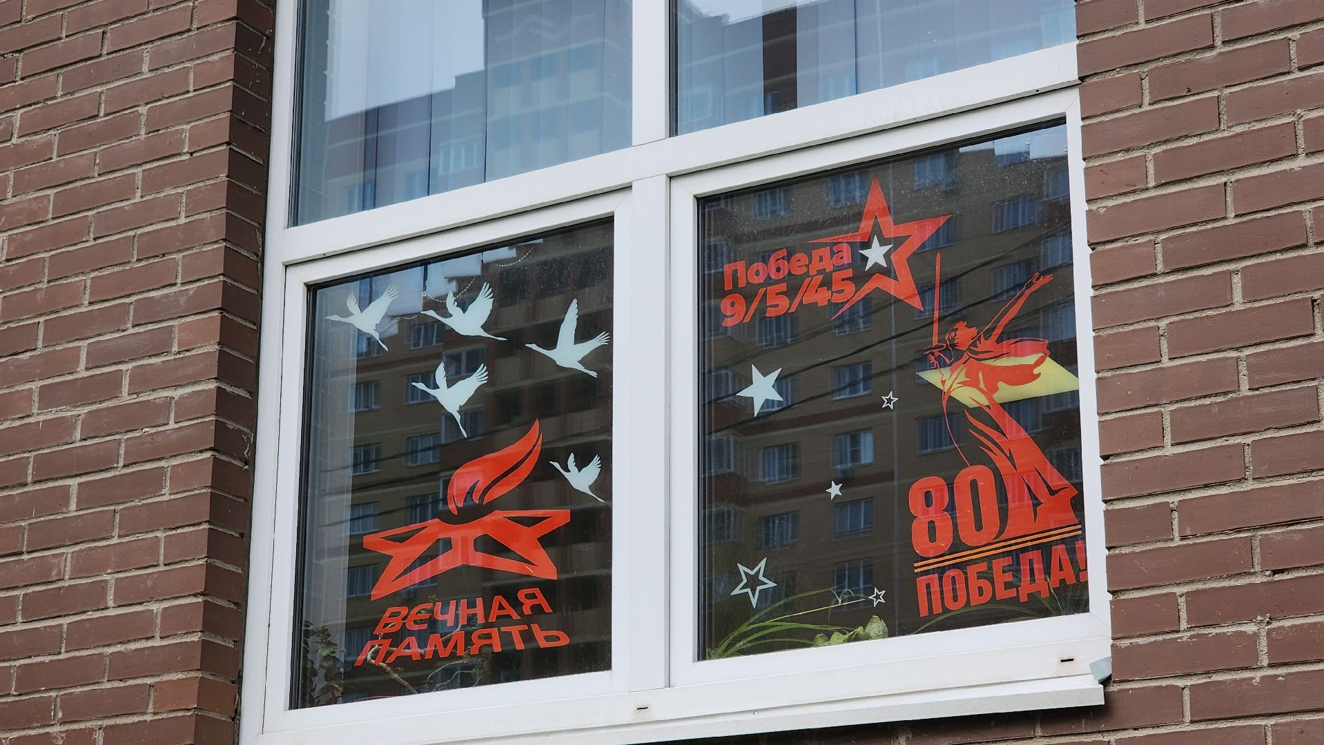 школа, окна Победы, Движение первых, лосино-петровский,