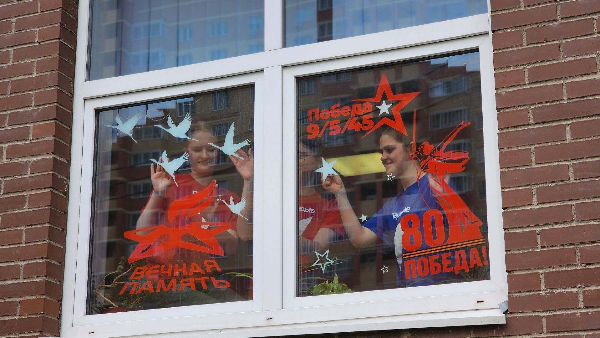 школа, окна Победы, Движение первых, лосино-петровский,