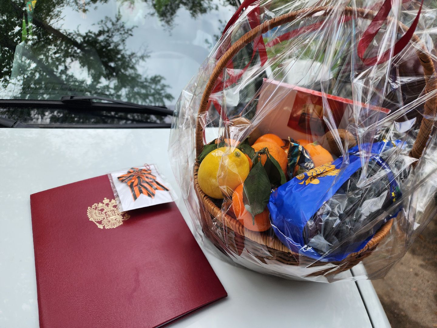 подольск, день победы, ветеран войны,