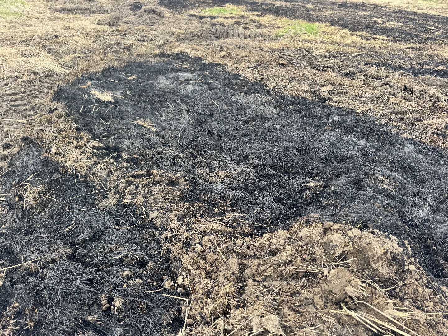 шаховская, героизм, горящее поле, пожар, огонь,