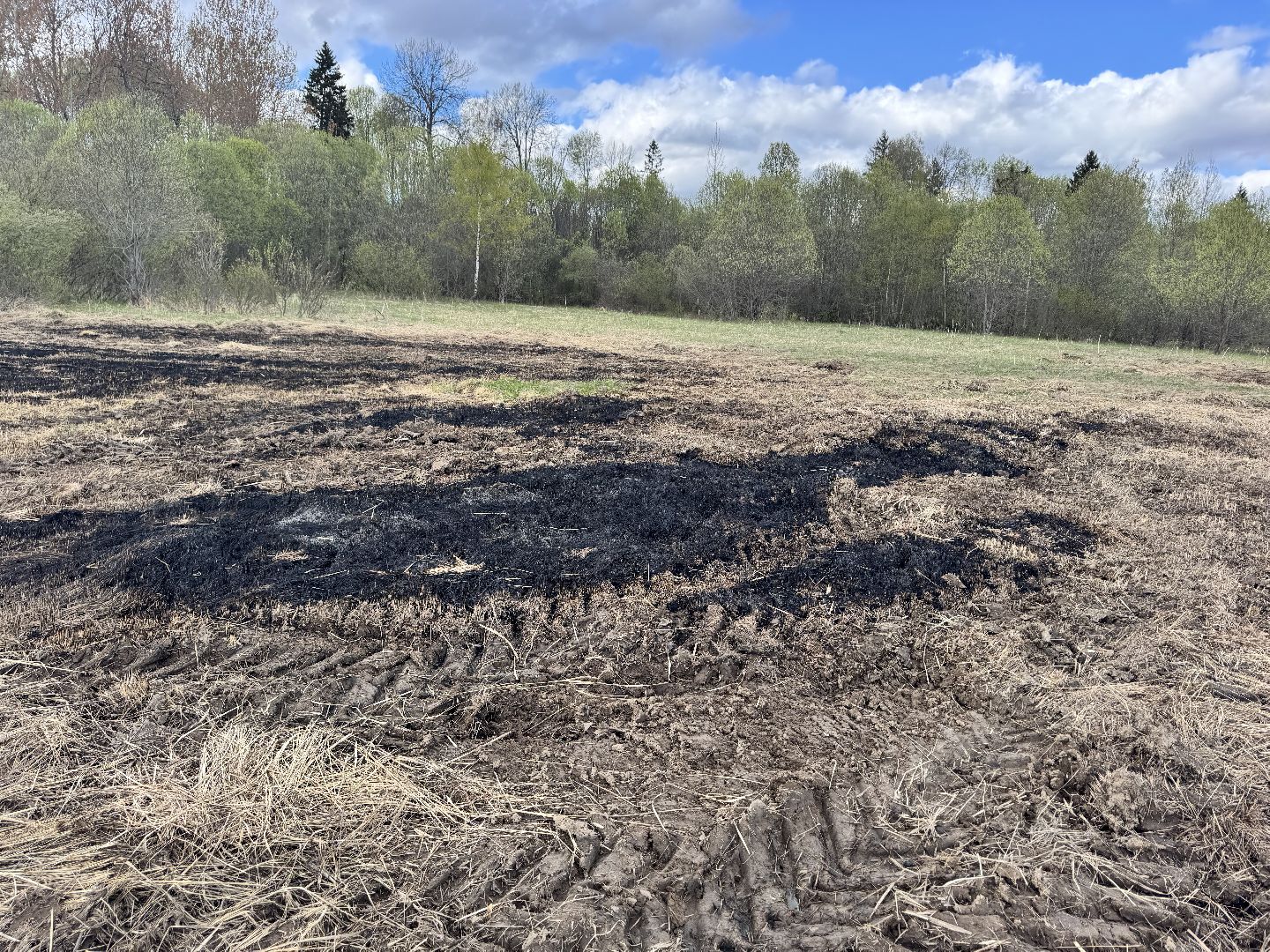 шаховская, героизм, горящее поле, пожар, огонь,