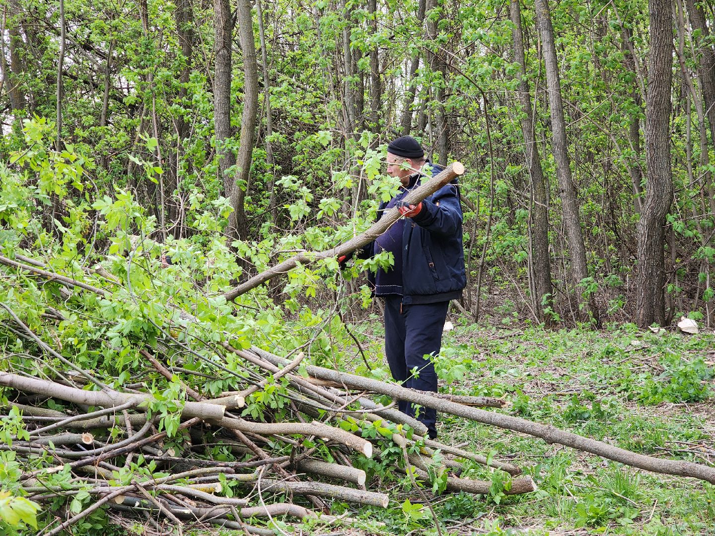 Егорьевск , Подмосковье , Московская область ,