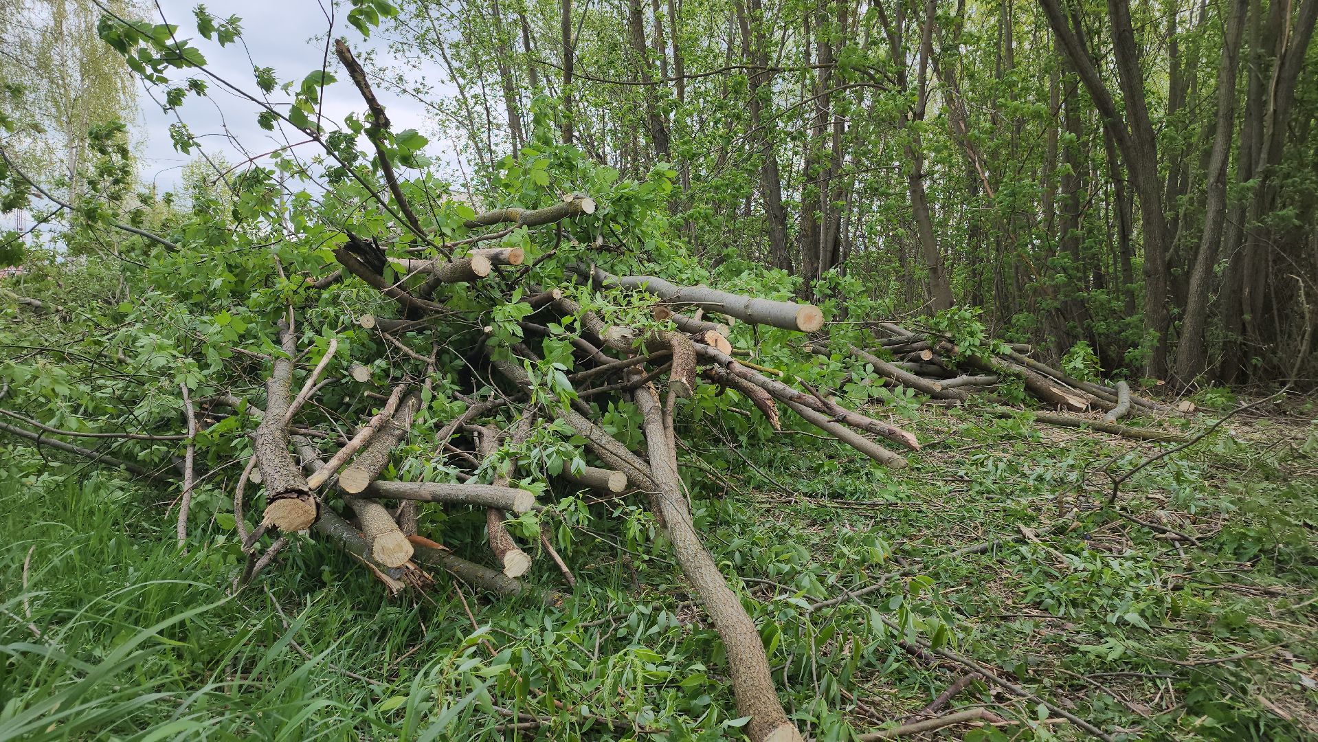 Егорьевск , Подмосковье , Московская область ,