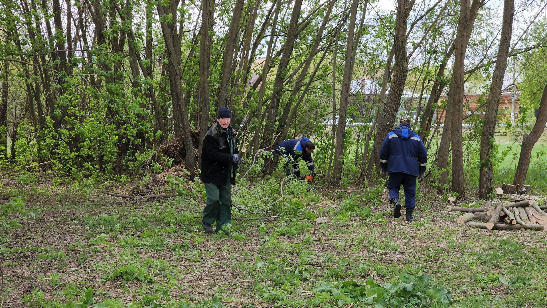 Егорьевск , Подмосковье , Московская область ,