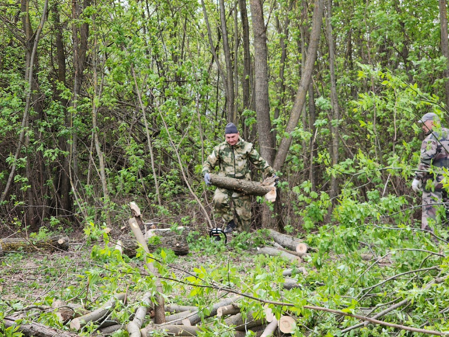 Егорьевск , Подмосковье , Московская область ,