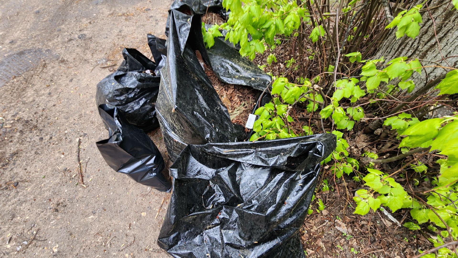 протвино, комбинат благоустройства, первомай,