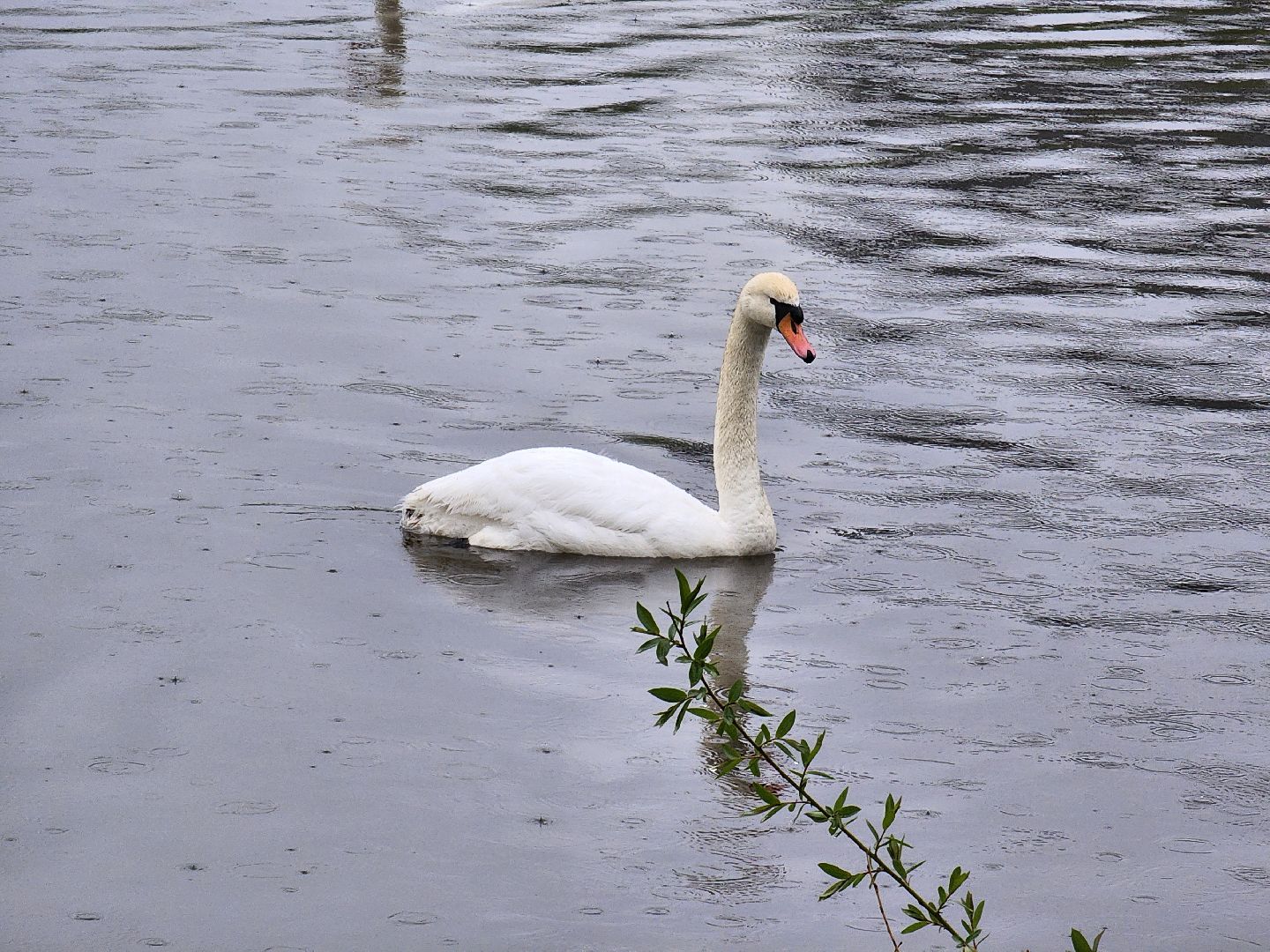 погода, непогода, мытищи,