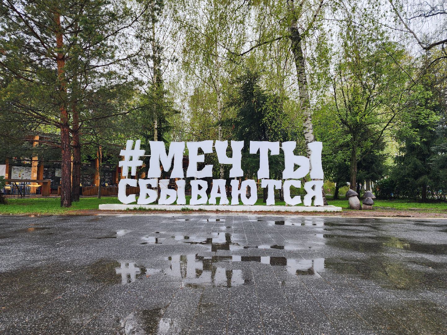 погода, непогода, мытищи,