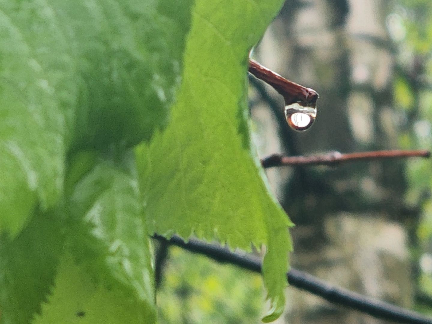 погода, непогода, мытищи,