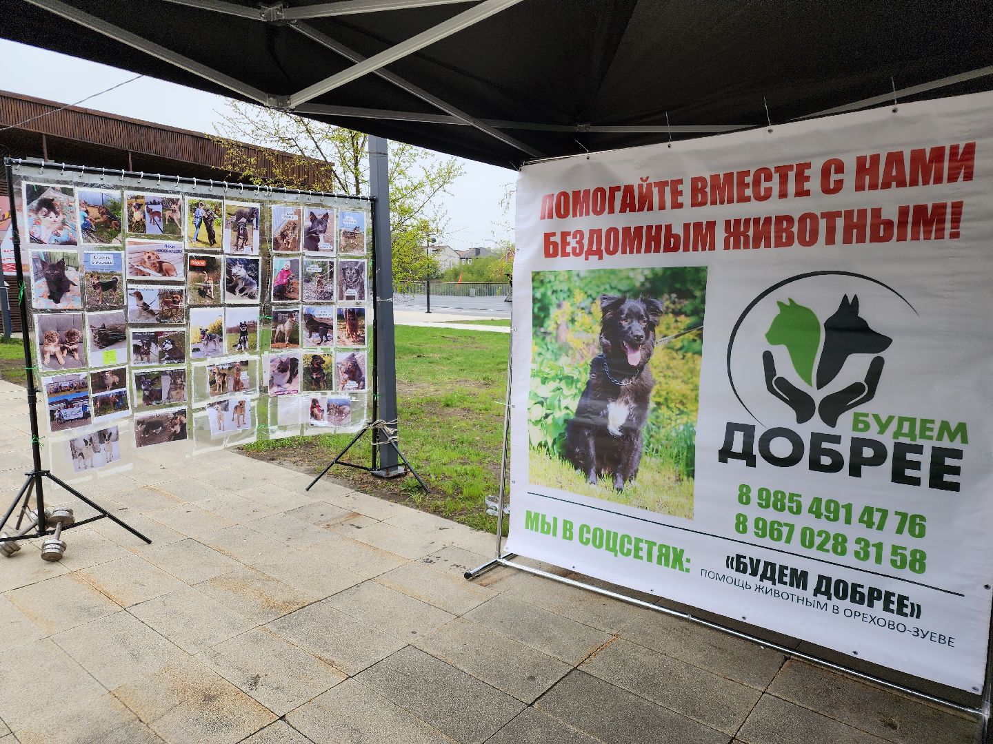 теплый сезон, парки подмосковья ., орехово-зуево,