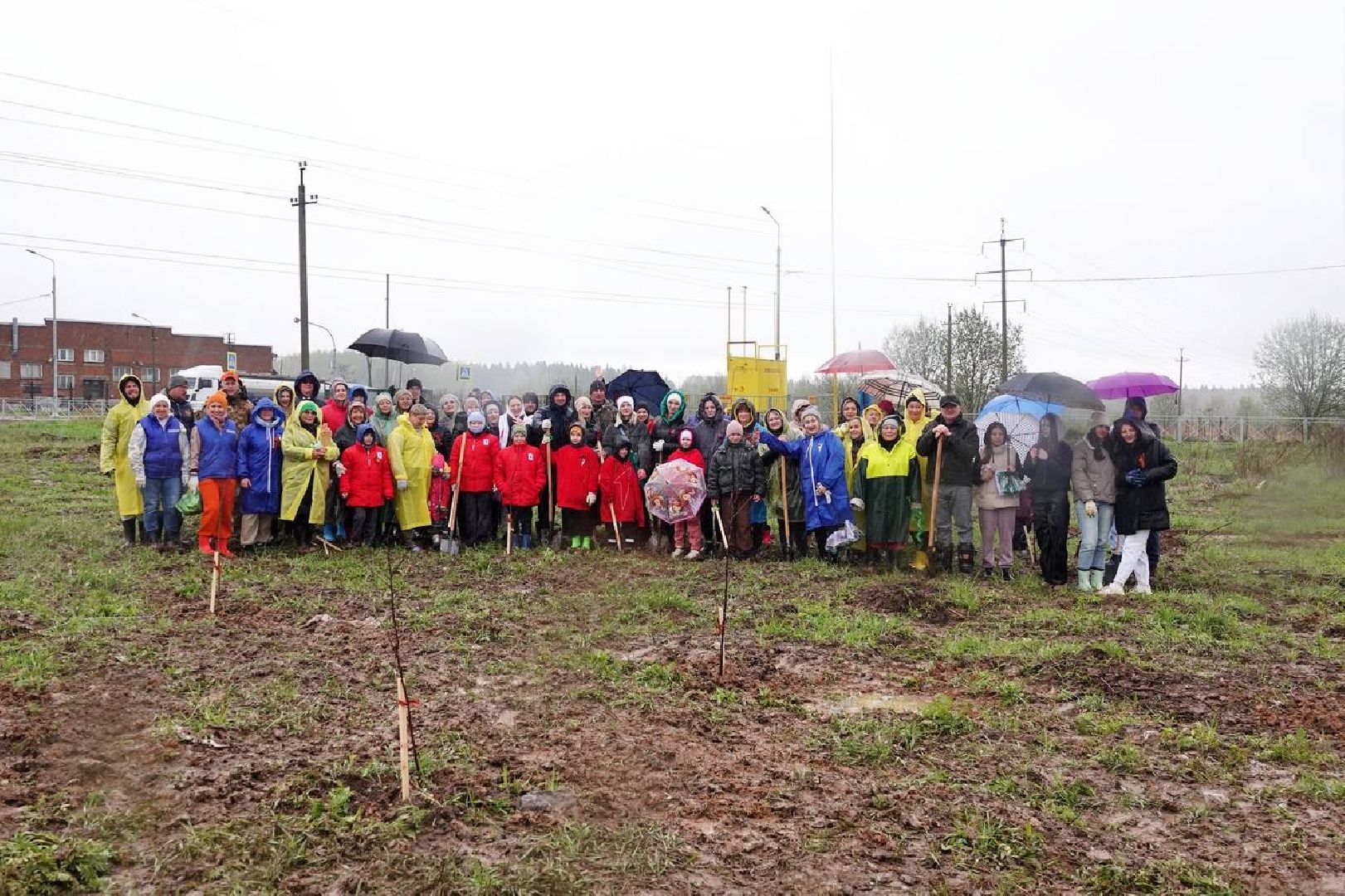 сад памяти, международная акция , сергиев посад , сергиево-посадский городской округ, 9 мая , 80-летие великой победы,  память  ,