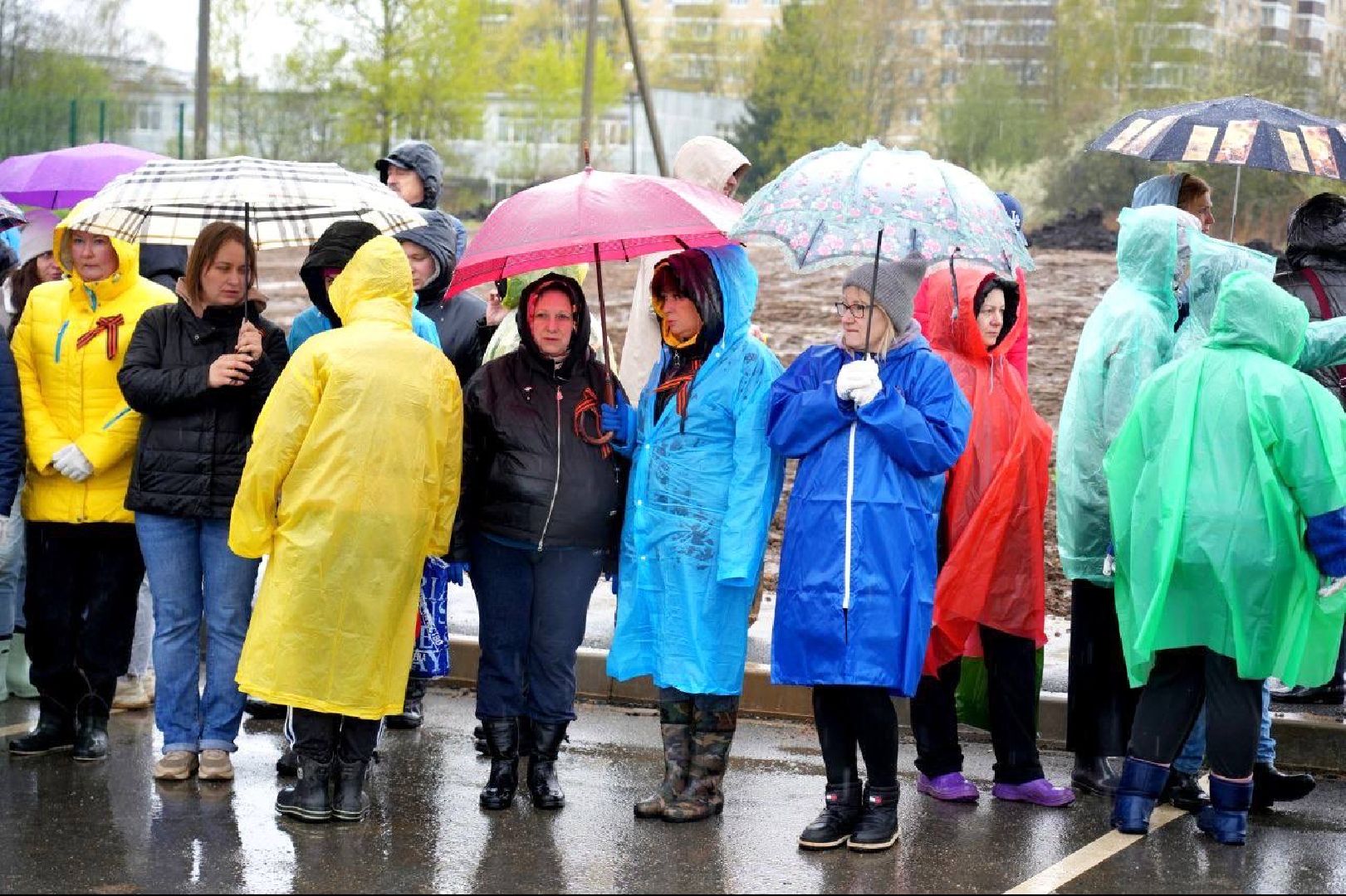 сад памяти, международная акция , сергиев посад , сергиево-посадский городской округ, 9 мая , 80-летие великой победы,  память  ,