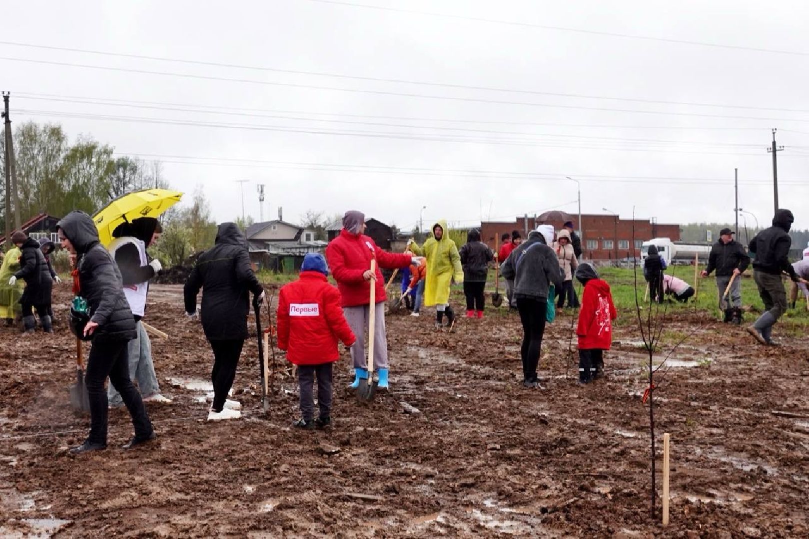 сад памяти, международная акция , сергиев посад , сергиево-посадский городской округ, 9 мая , 80-летие великой победы,  память  ,
