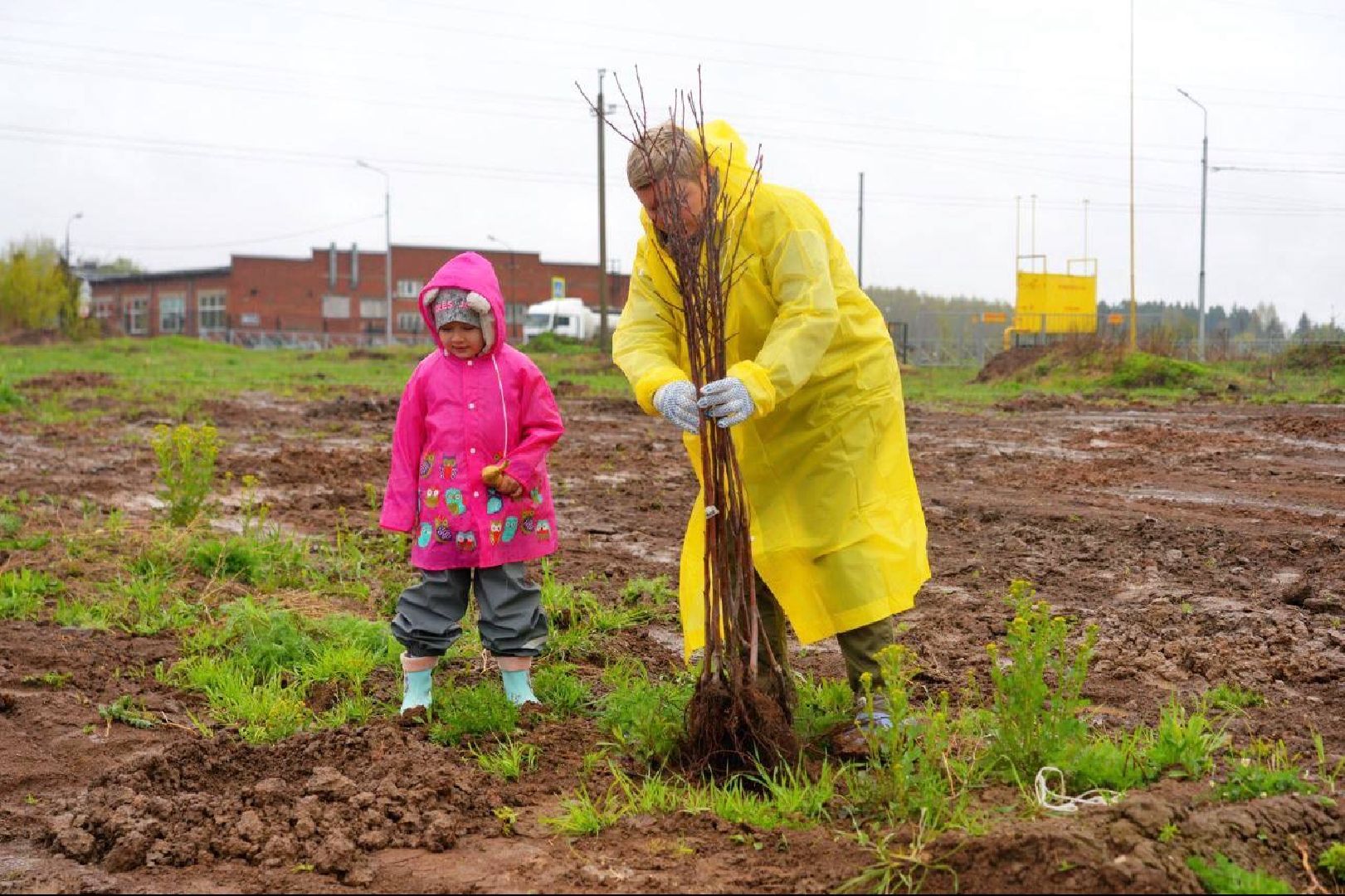 сад памяти, международная акция , сергиев посад , сергиево-посадский городской округ, 9 мая , 80-летие великой победы,  память  ,