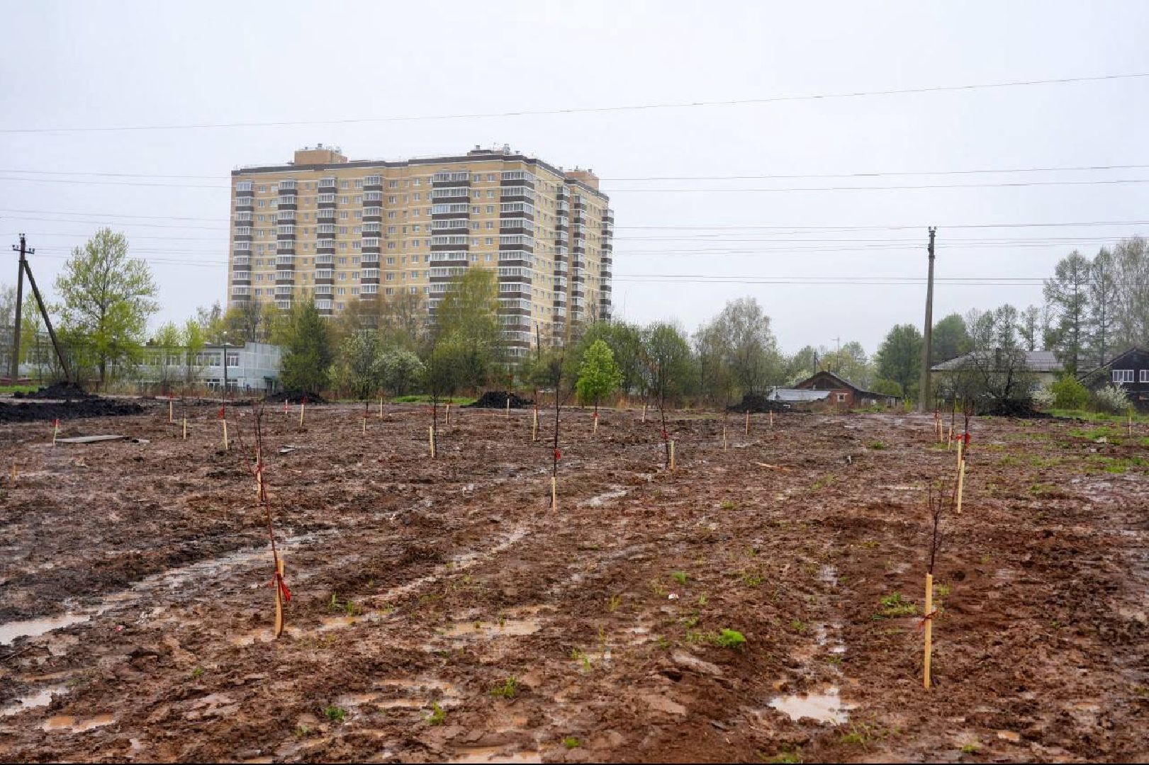 сад памяти, международная акция , сергиев посад , сергиево-посадский городской округ, 9 мая , 80-летие великой победы,  память  ,