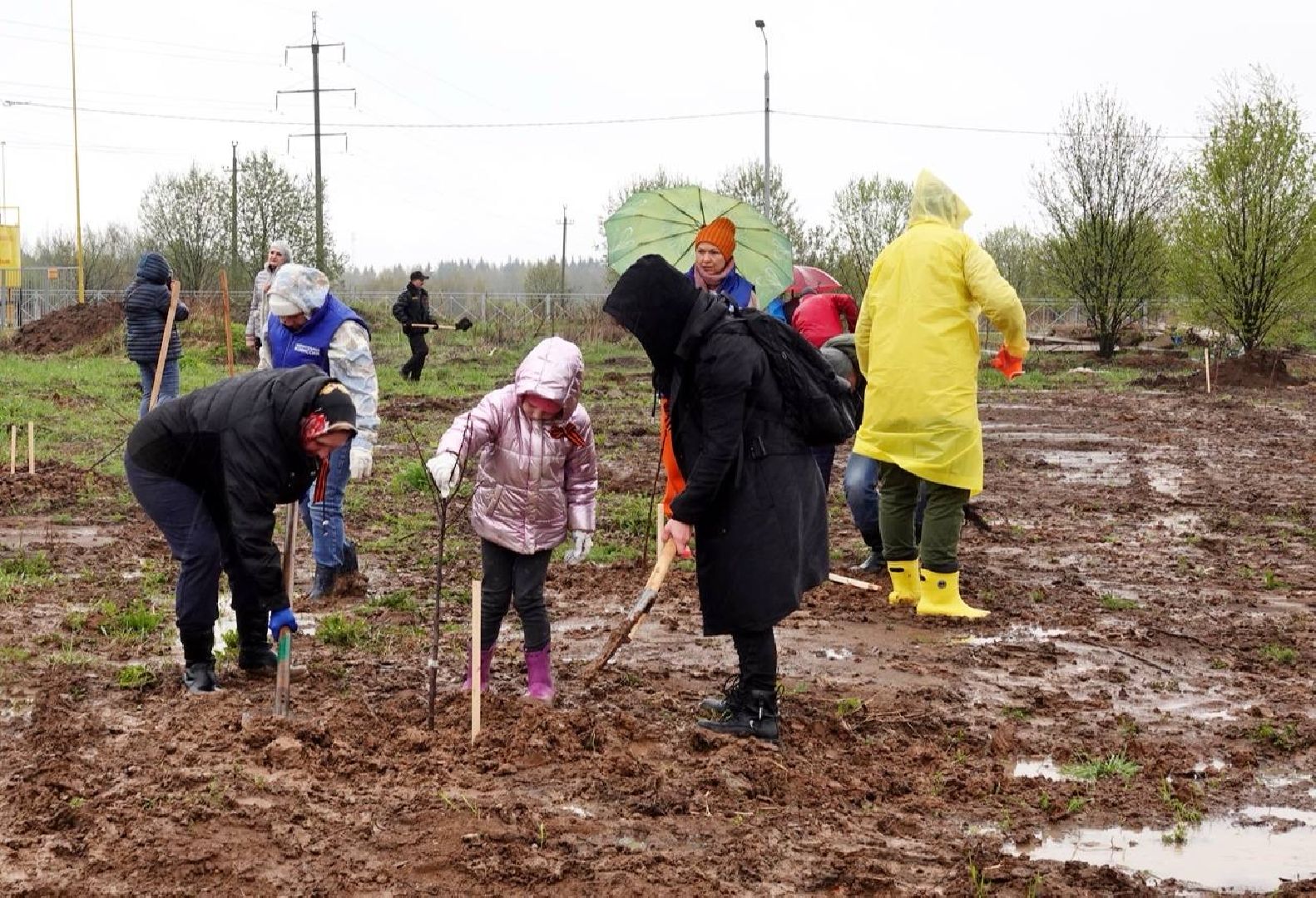 сад памяти, международная акция , сергиев посад , сергиево-посадский городской округ, 9 мая , 80-летие великой победы,  память  ,