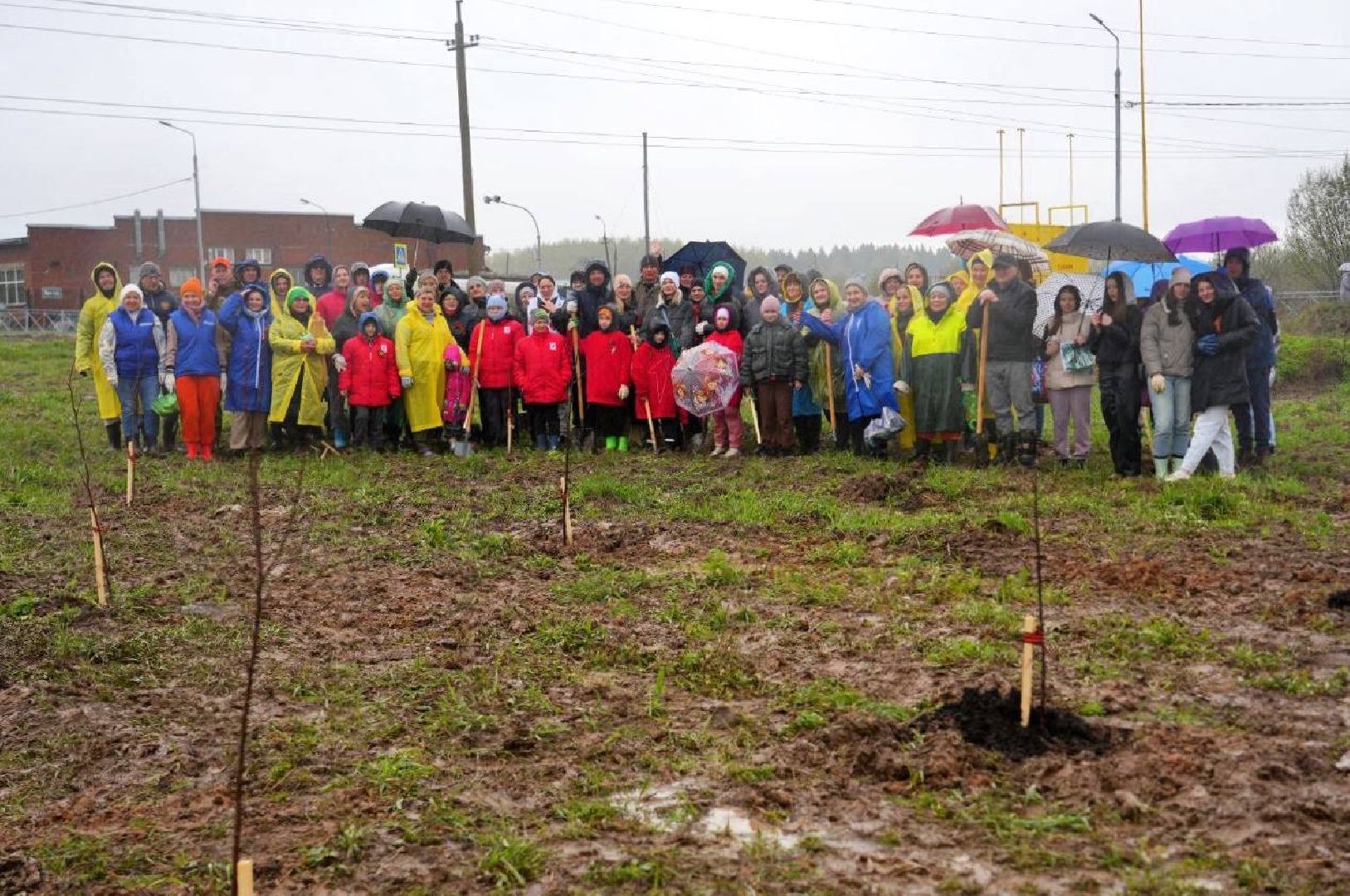 сад памяти, международная акция , сергиев посад , сергиево-посадский городской округ, 9 мая , 80-летие великой победы,  память  ,