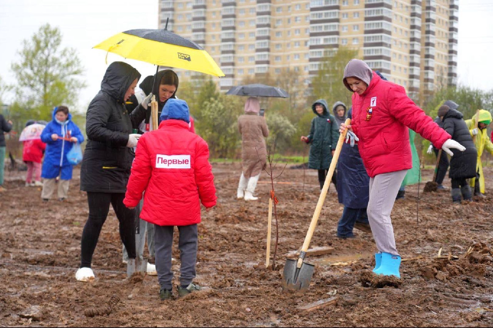 сад памяти, международная акция , сергиев посад , сергиево-посадский городской округ, 9 мая , 80-летие великой победы,  память  ,