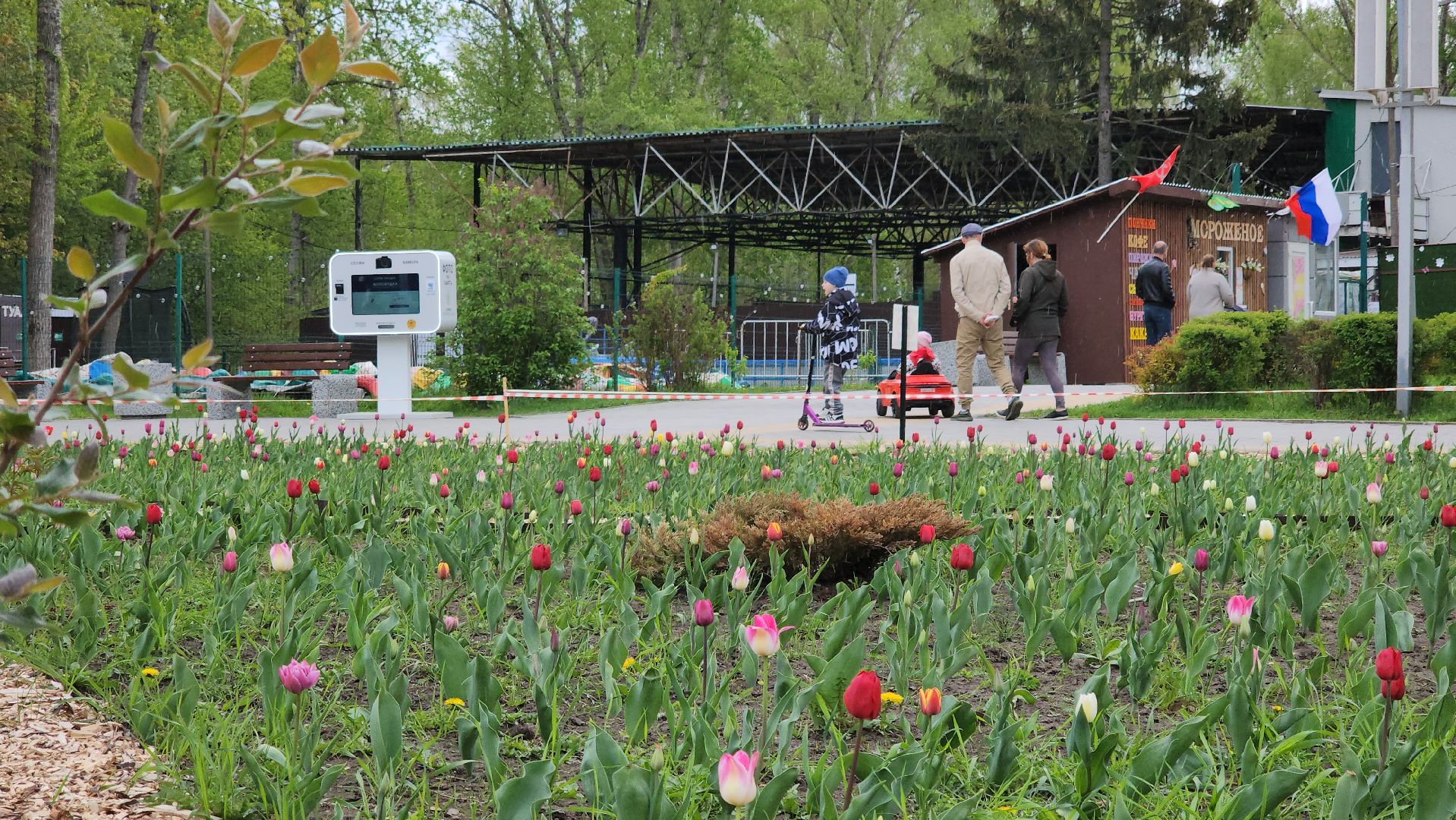 кашира, парк, фонтан, теплый сезон, благоустройство, озеленение,