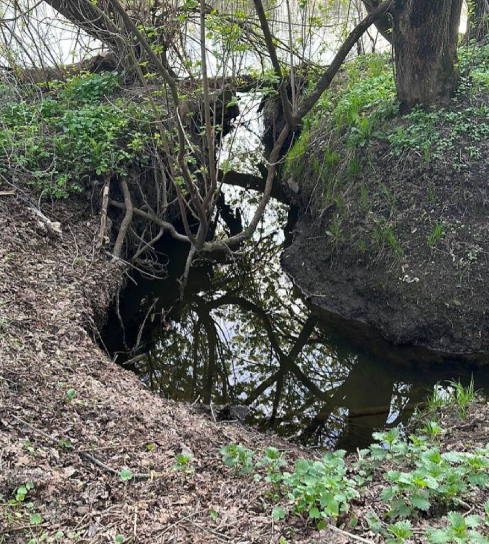 Зкология,москва-река, очистка реки, образование, люди звенигорода,