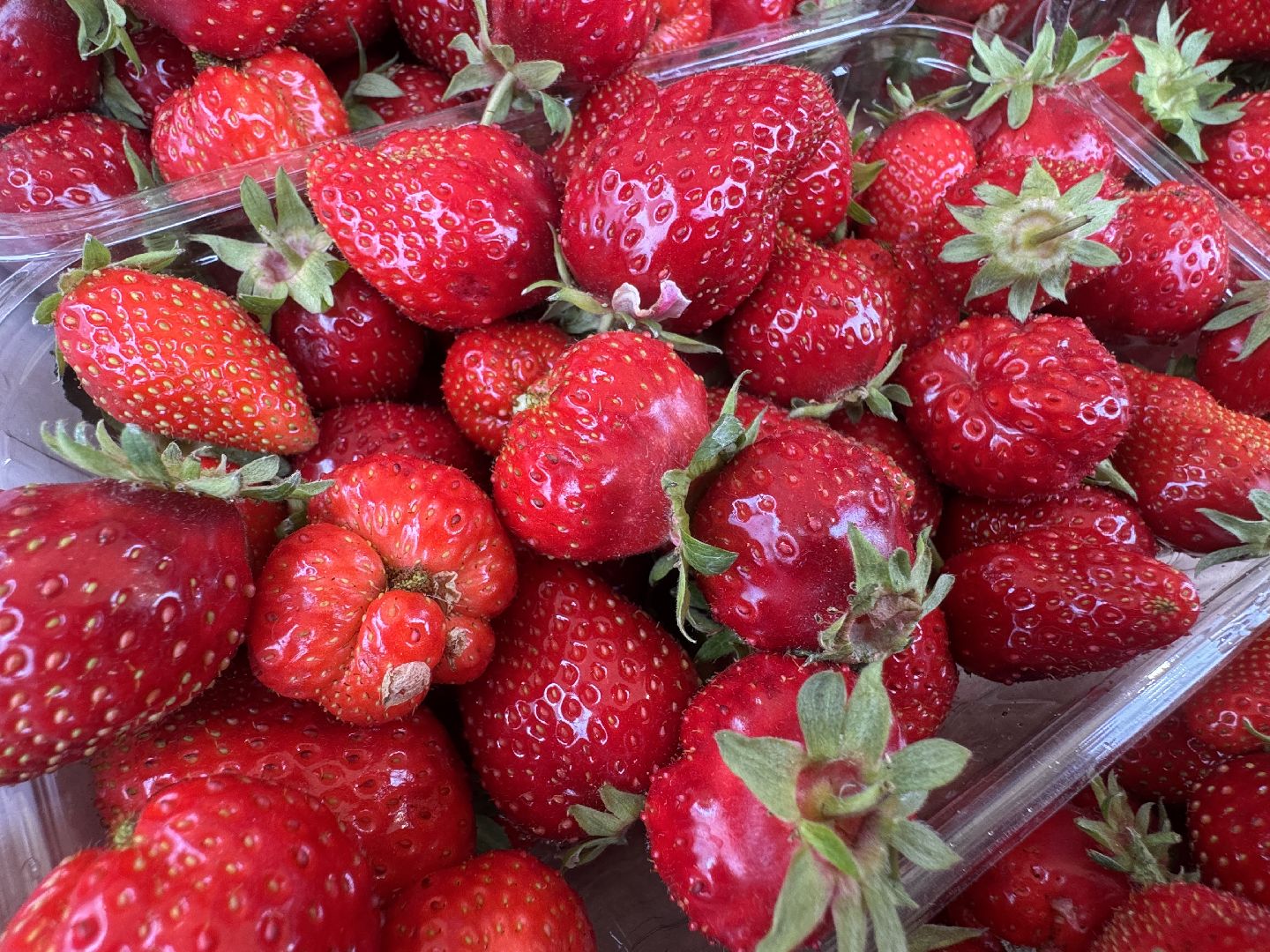 Крымская клубника, Сезон клубники, одинцовское подворье,